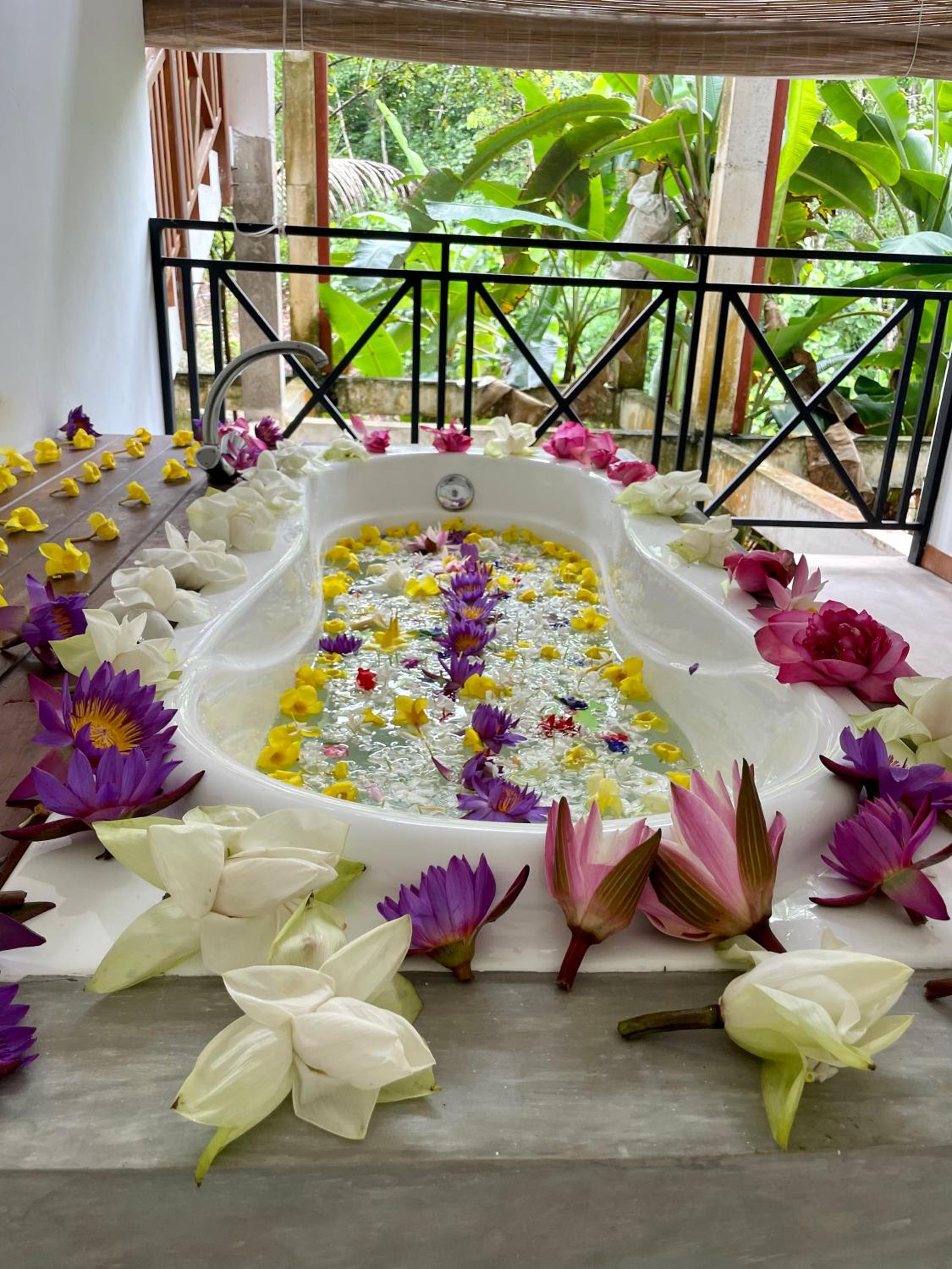 Silent Garden Ayurveda Health Resort view 2