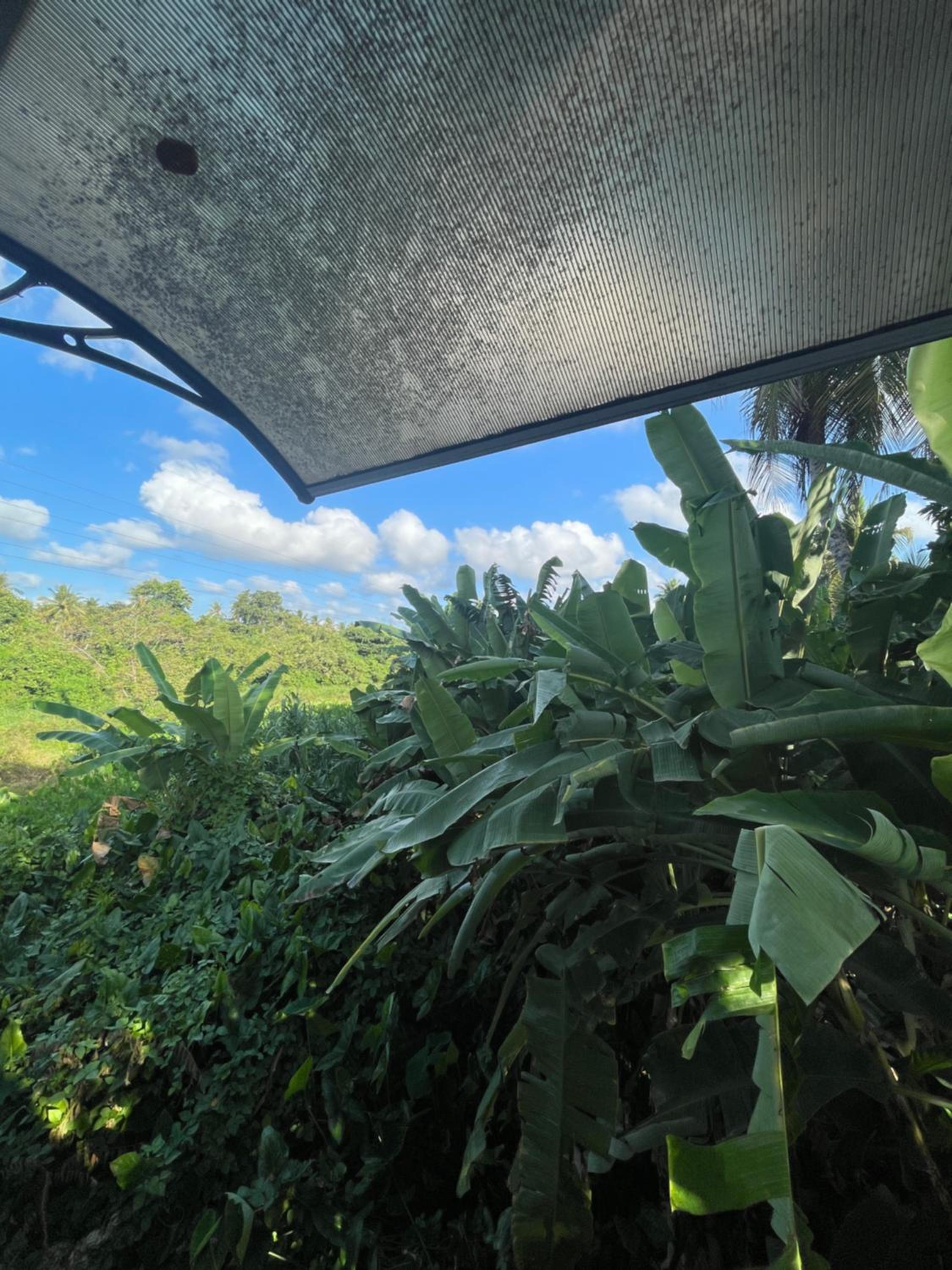 Casa Matilda view 4