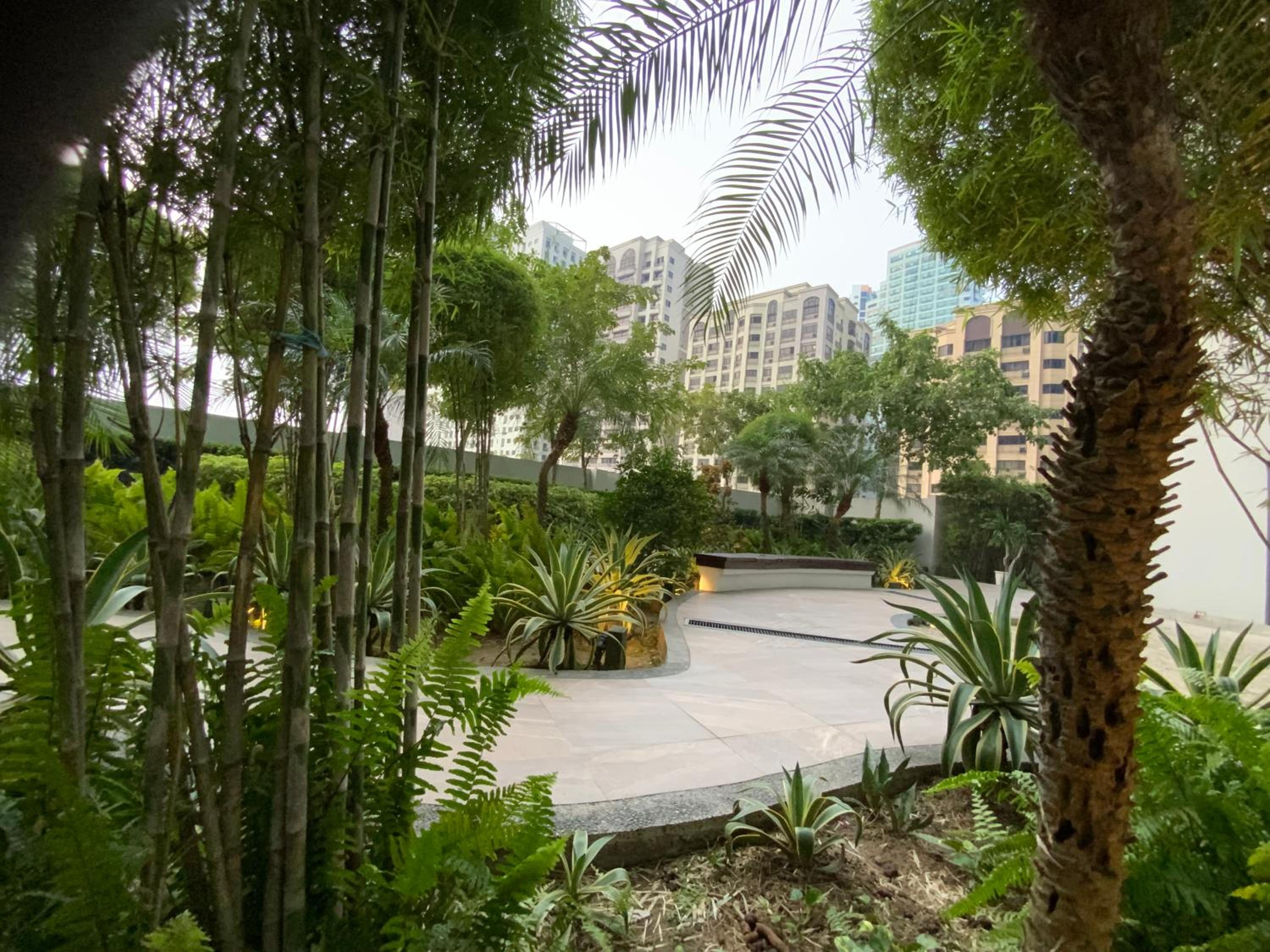 Gorgeous One Eastwood Ave Suite NO PETS ALLOWED view 3