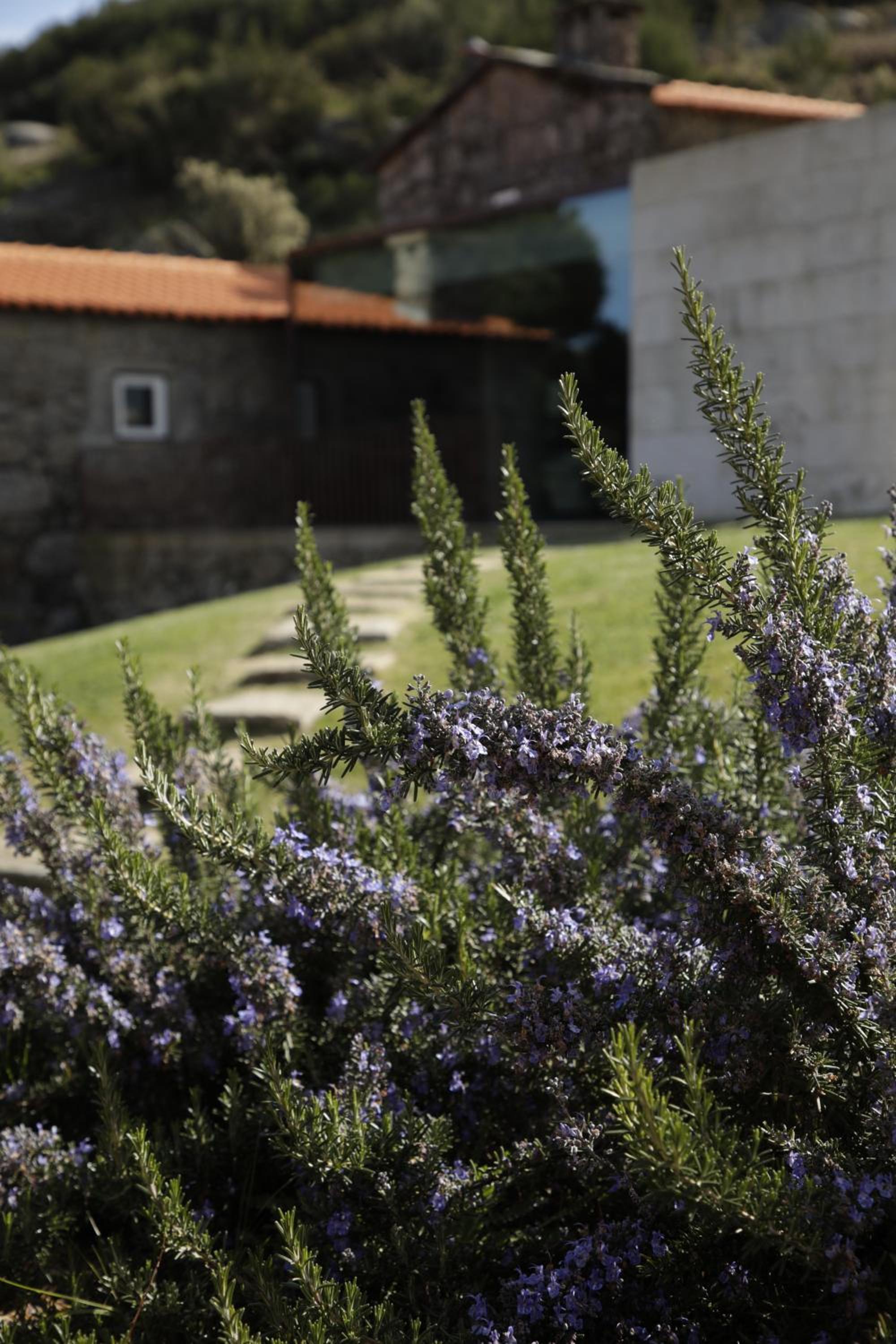 Leiras do Tempo - Adults Nature Retreat - Cottages - Gerês National Park