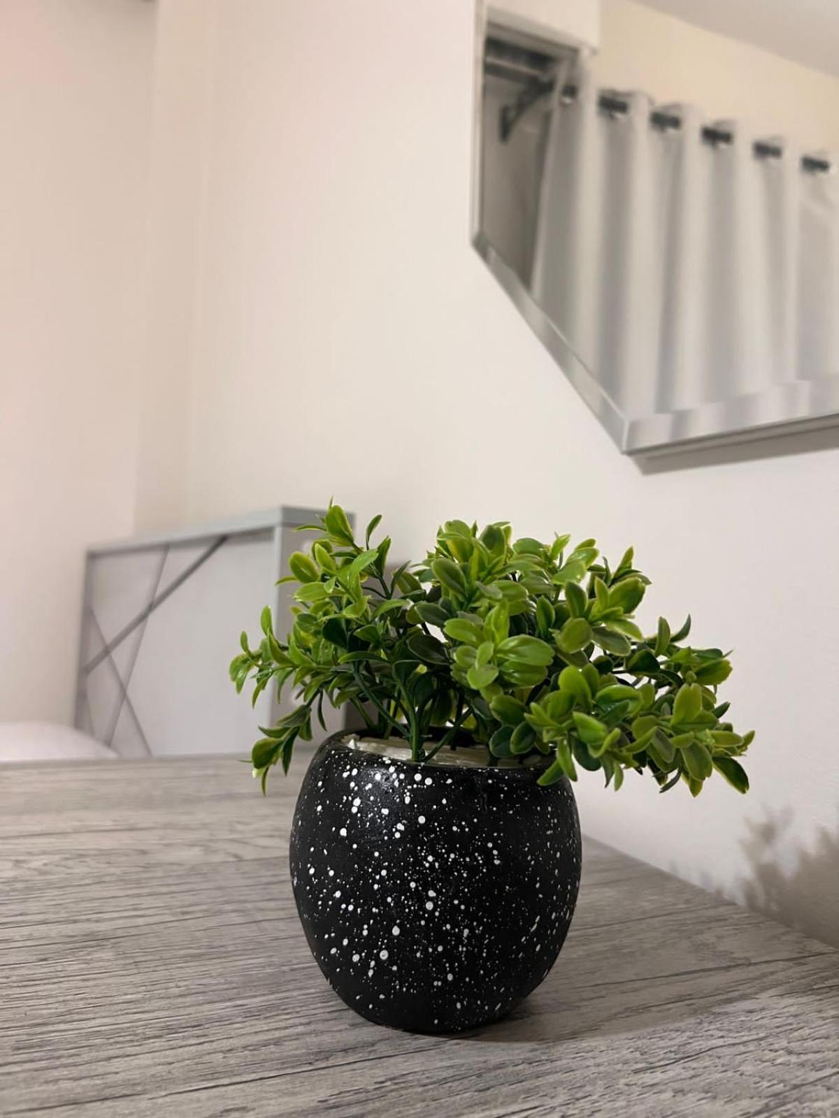 The Green Cozy Home at Madinaty view 5