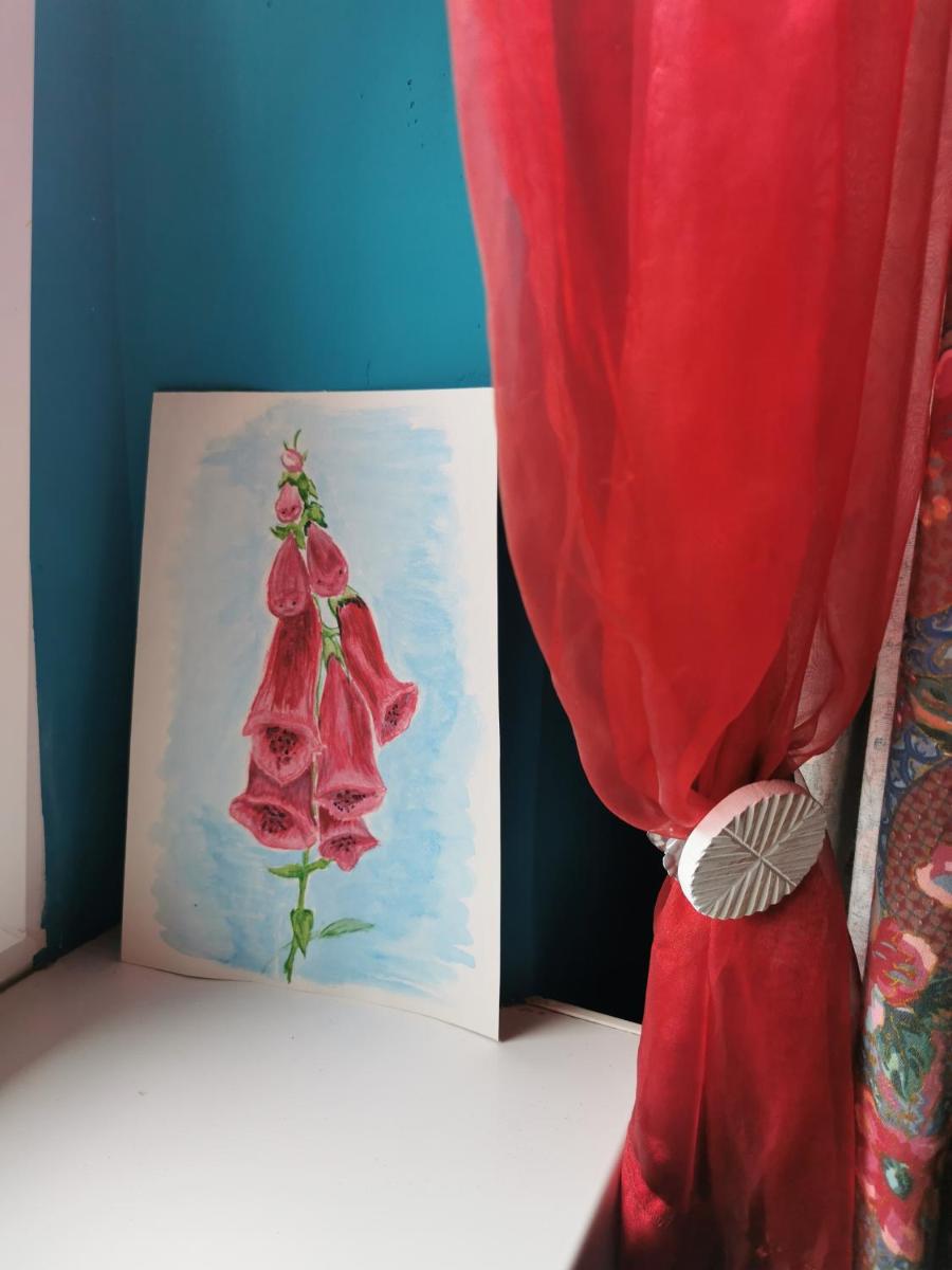 Studio Isabel Cieplice view 4