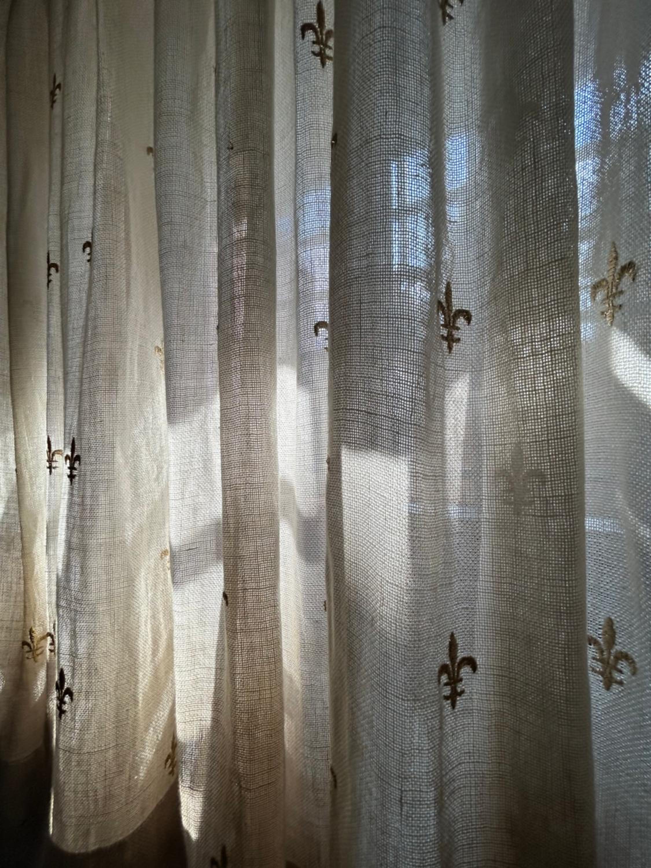 Damabianca, photo 62