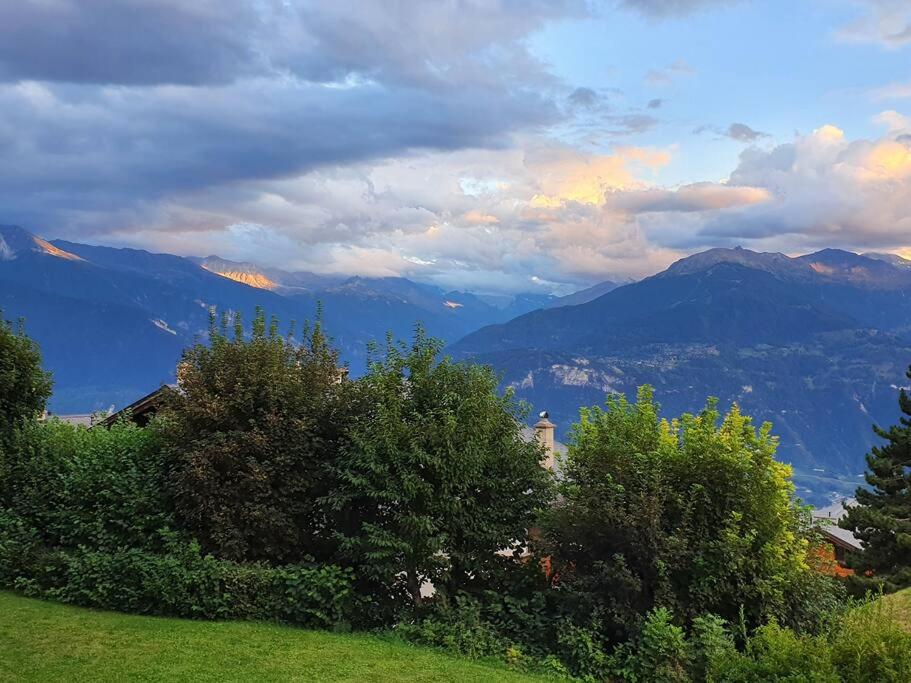Sunny 2 BR w large terrace, stunning views & pool