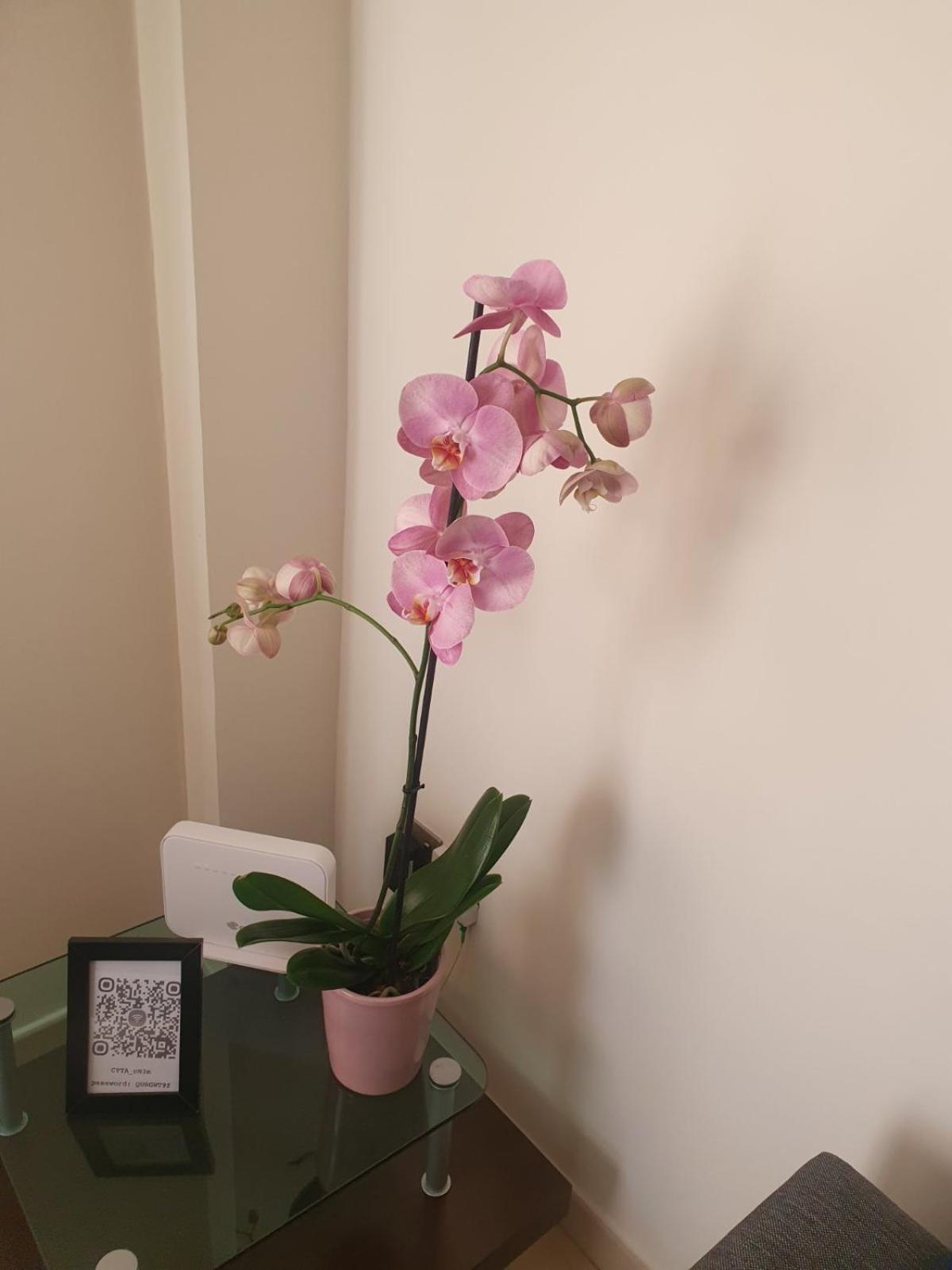 2 Bedroom Apartment, Zygos Centre Block D - By IMH Travel & Tours
