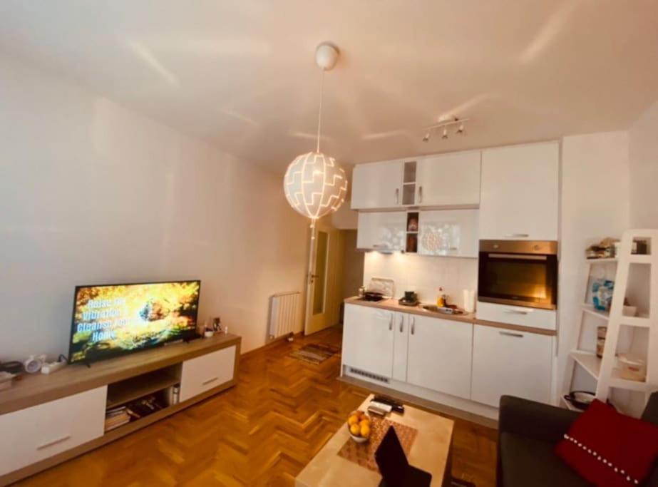 City Delight: Cozy Apartment