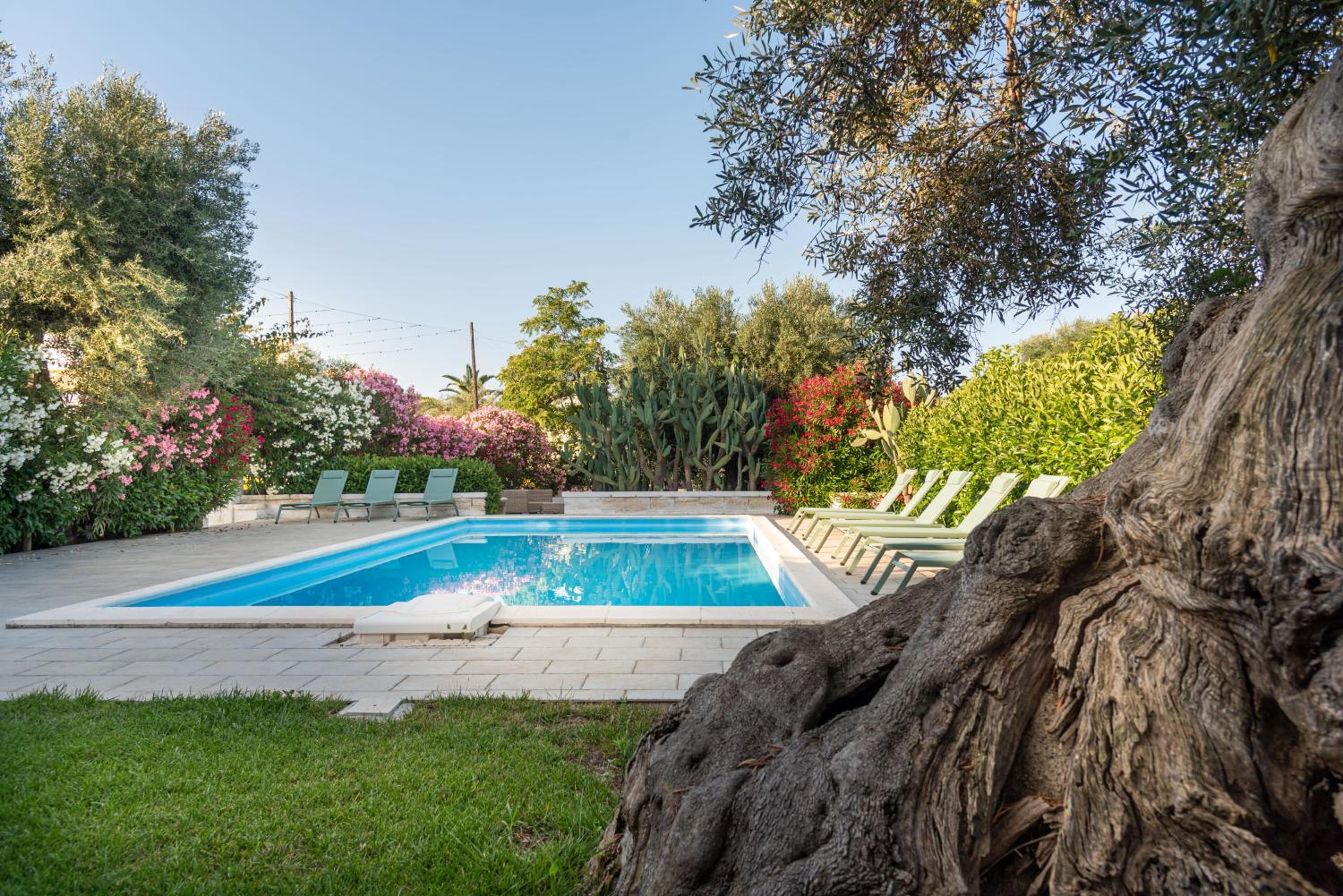 Masseria San Nicola Savelletri - B&B view 3