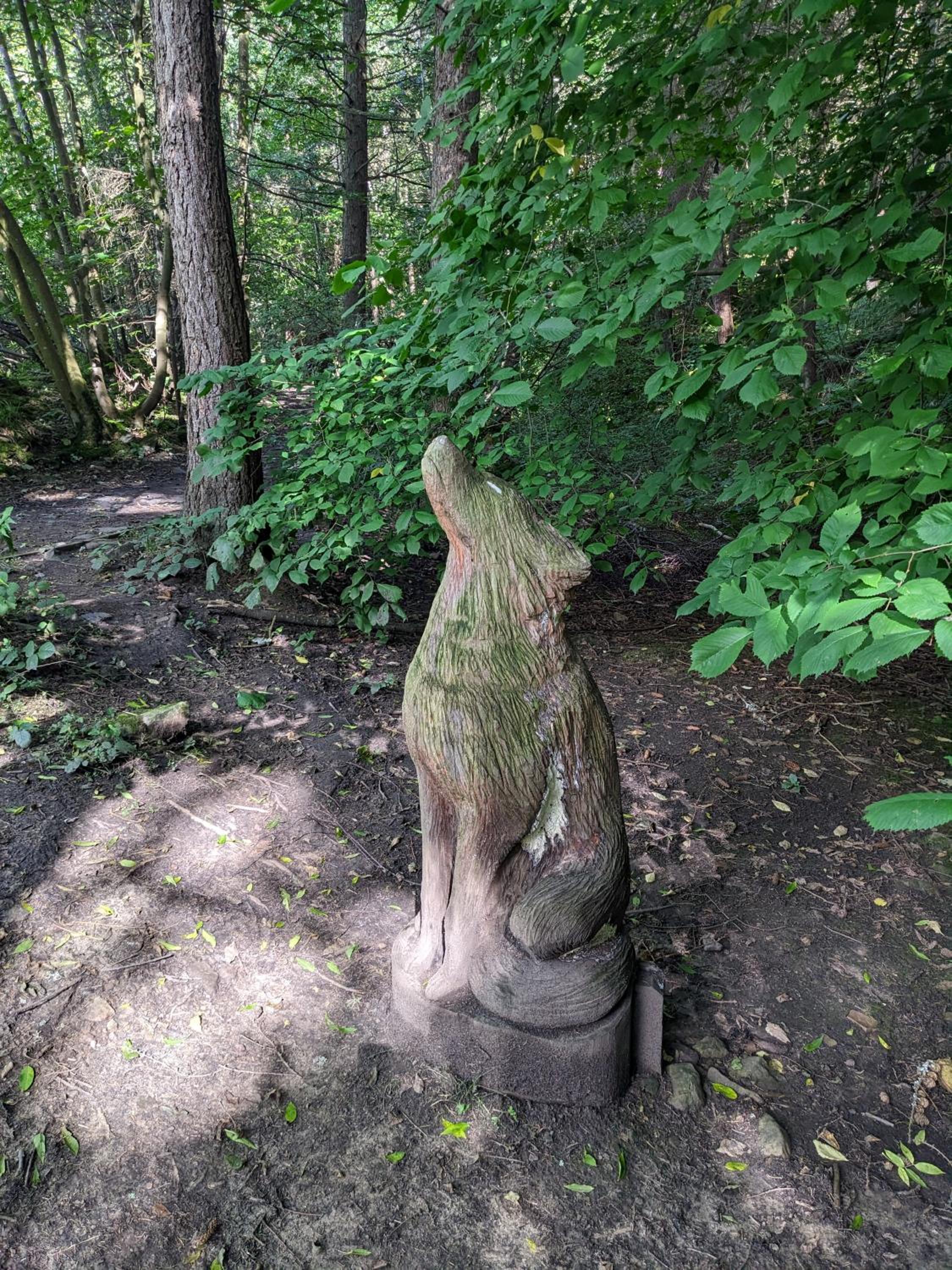 Photo 19