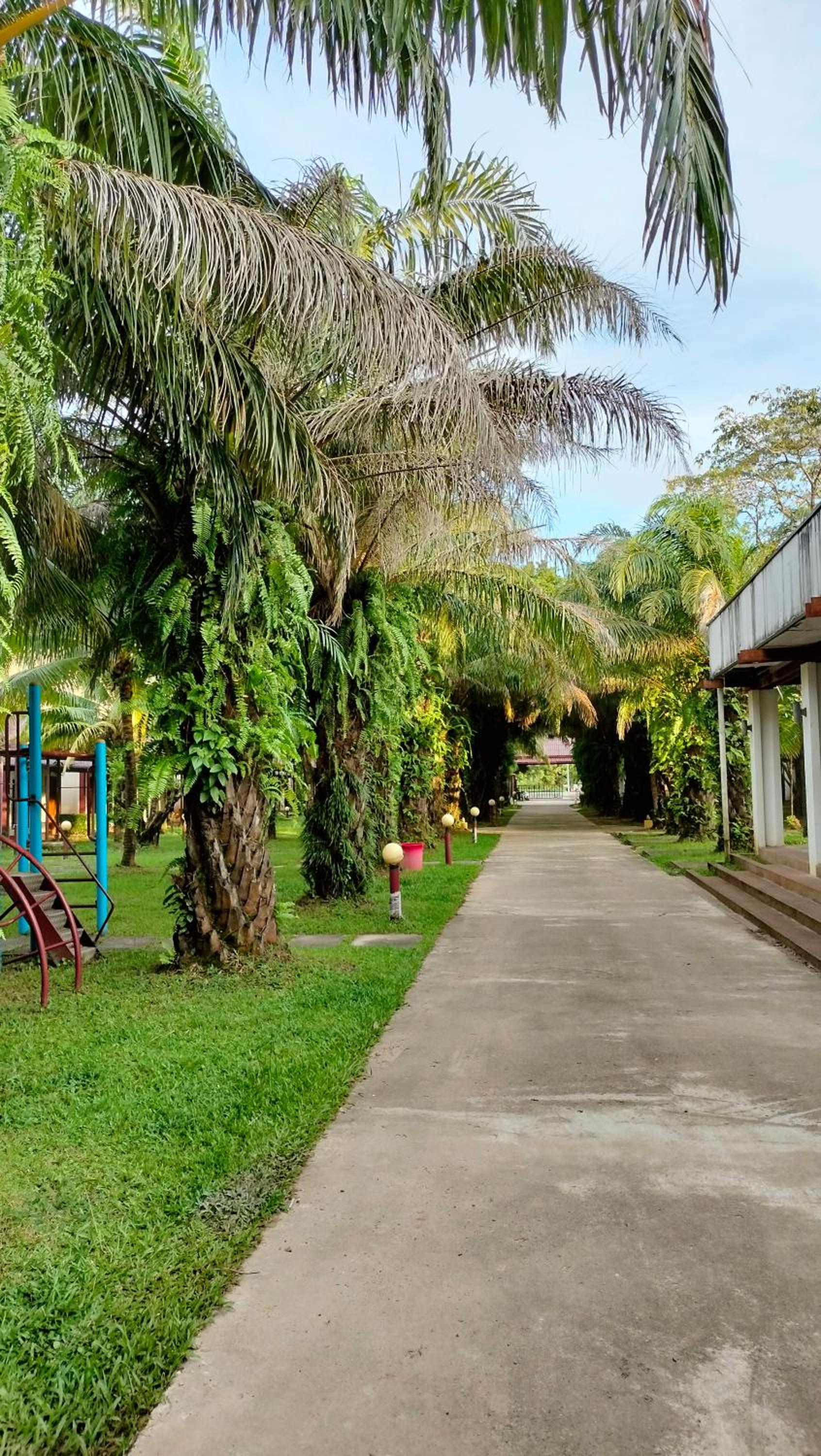 Twin Palms Resort
