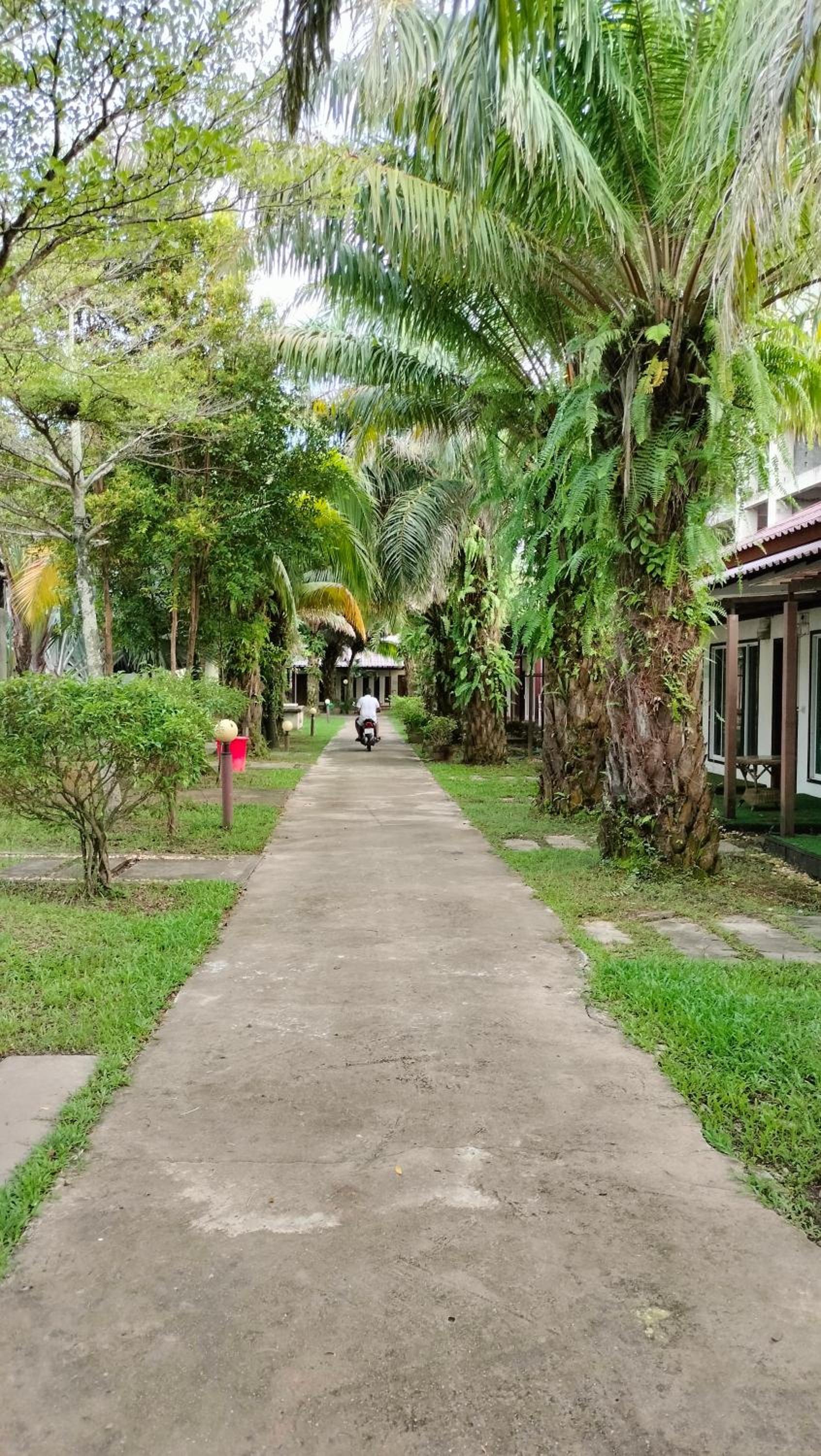 Twin Palms Resort