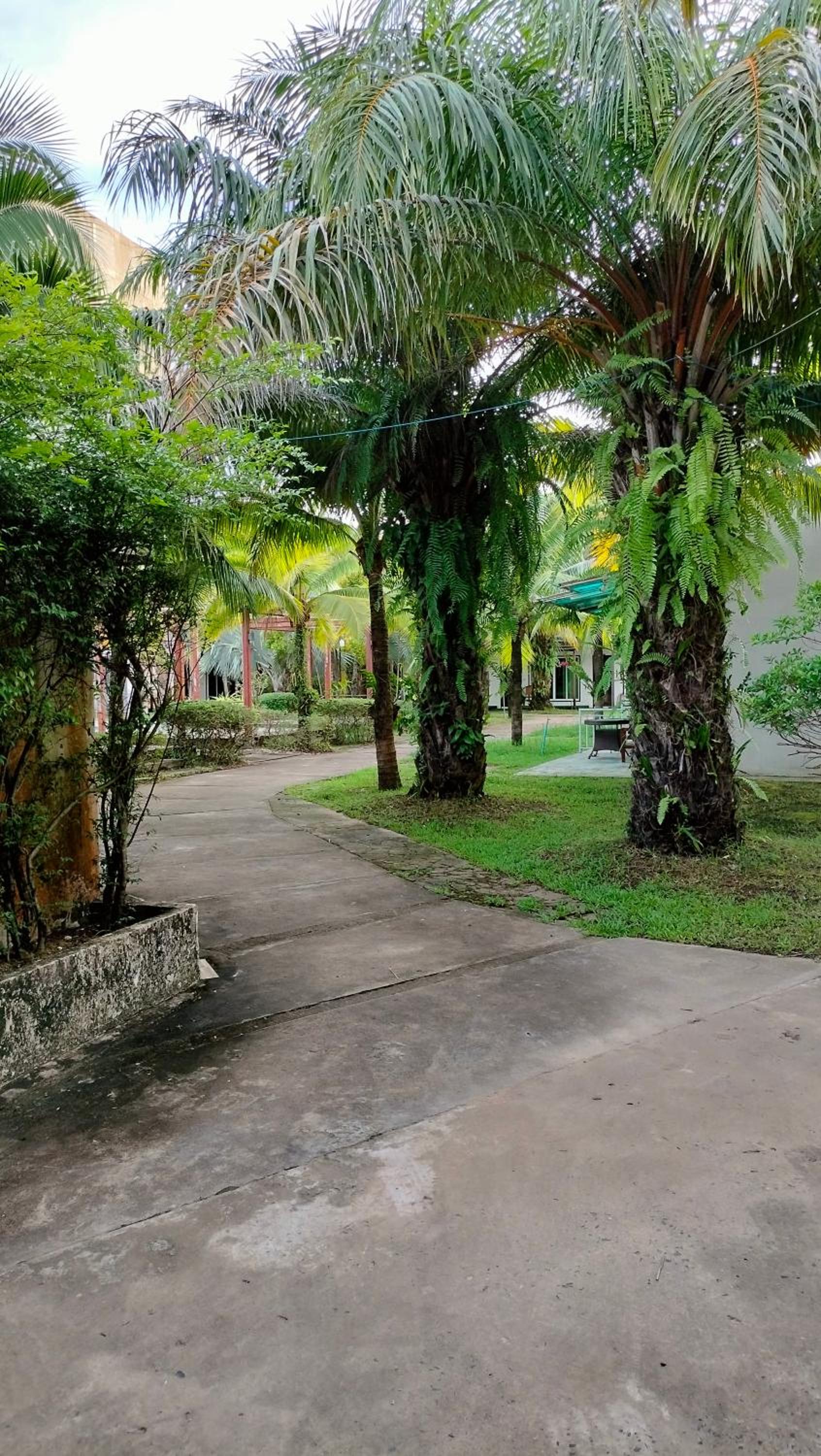Twin Palms Resort