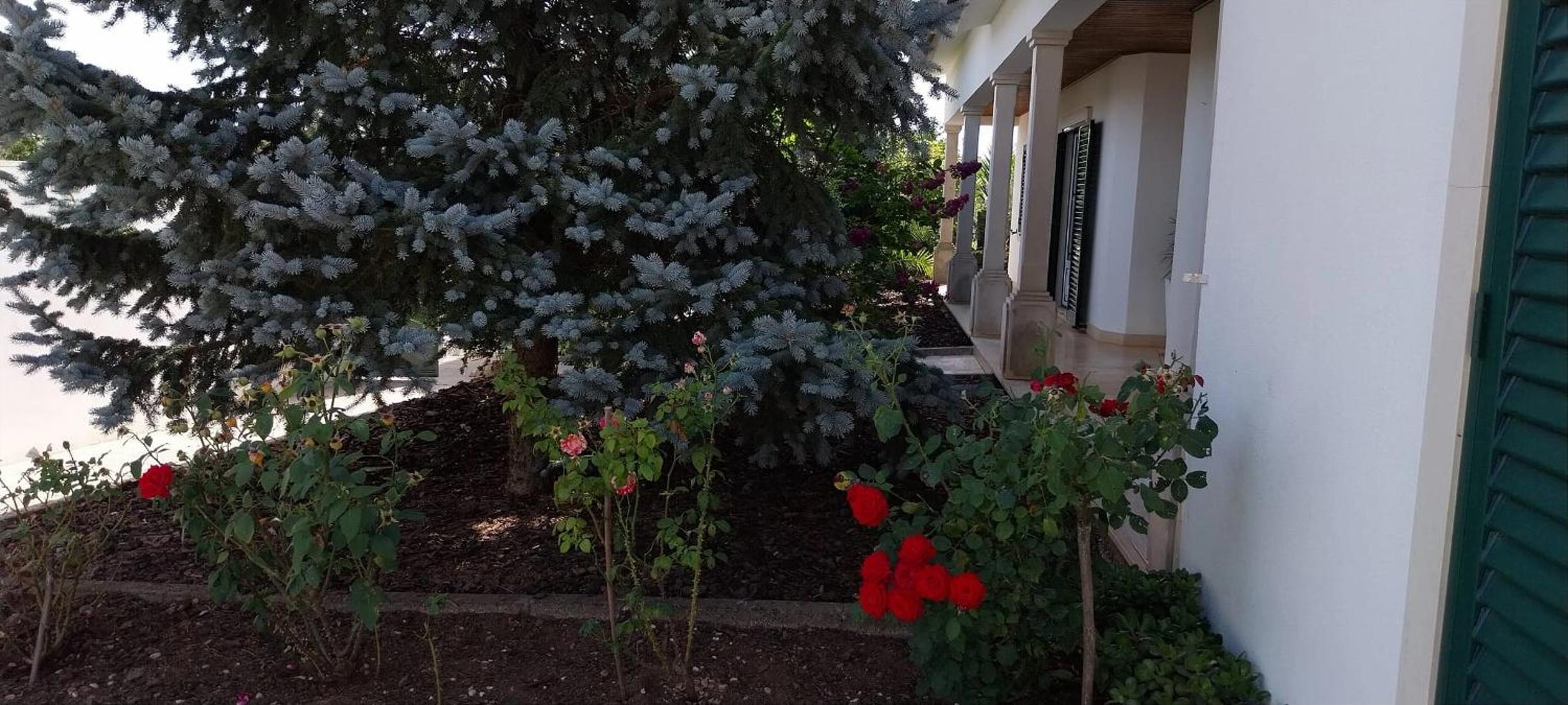 Casa com Alma by LovelyStay
