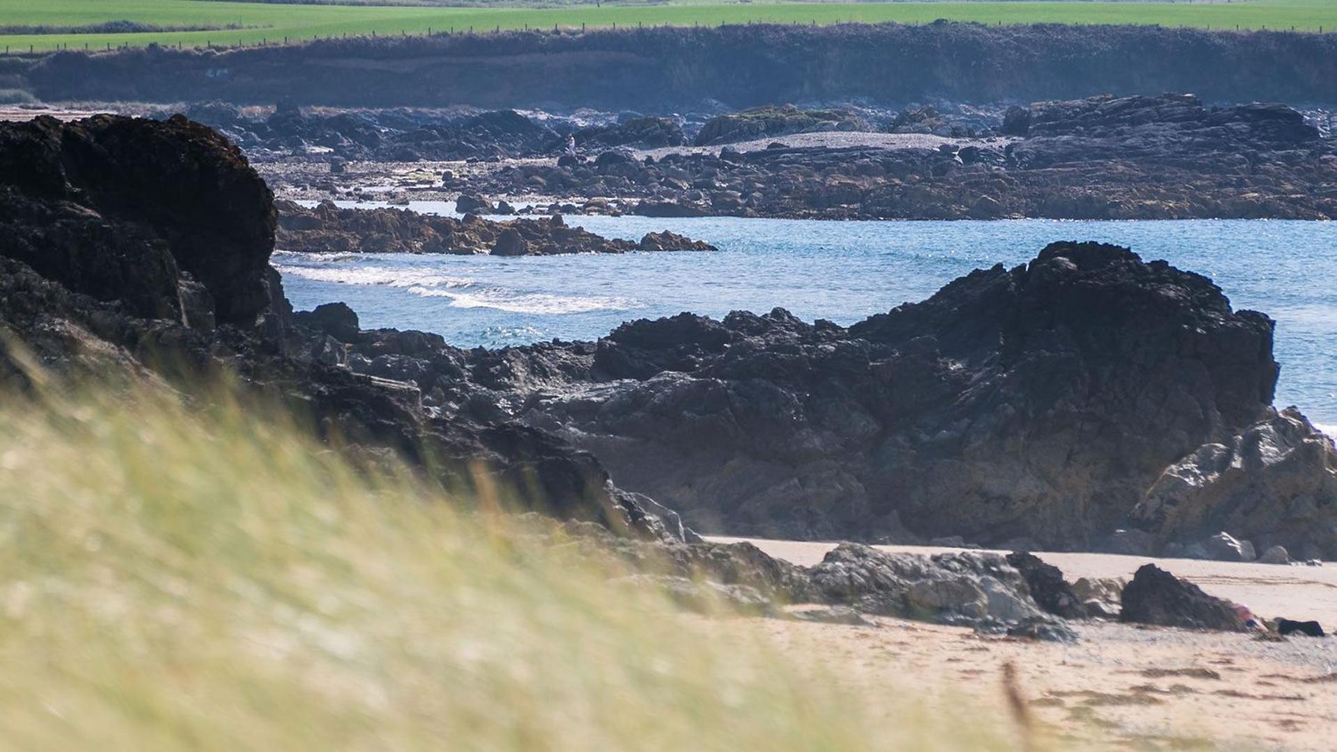 Borth Bach