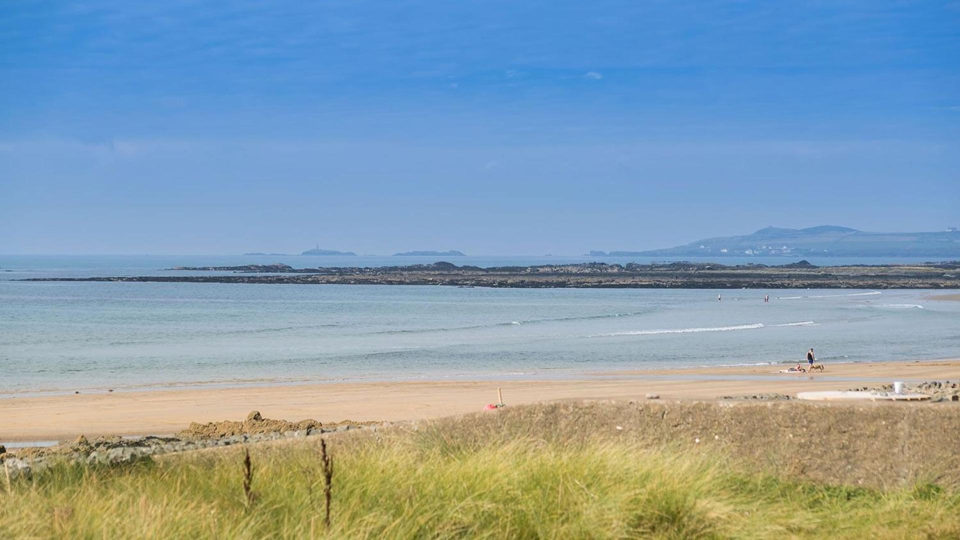 Borth Bach
