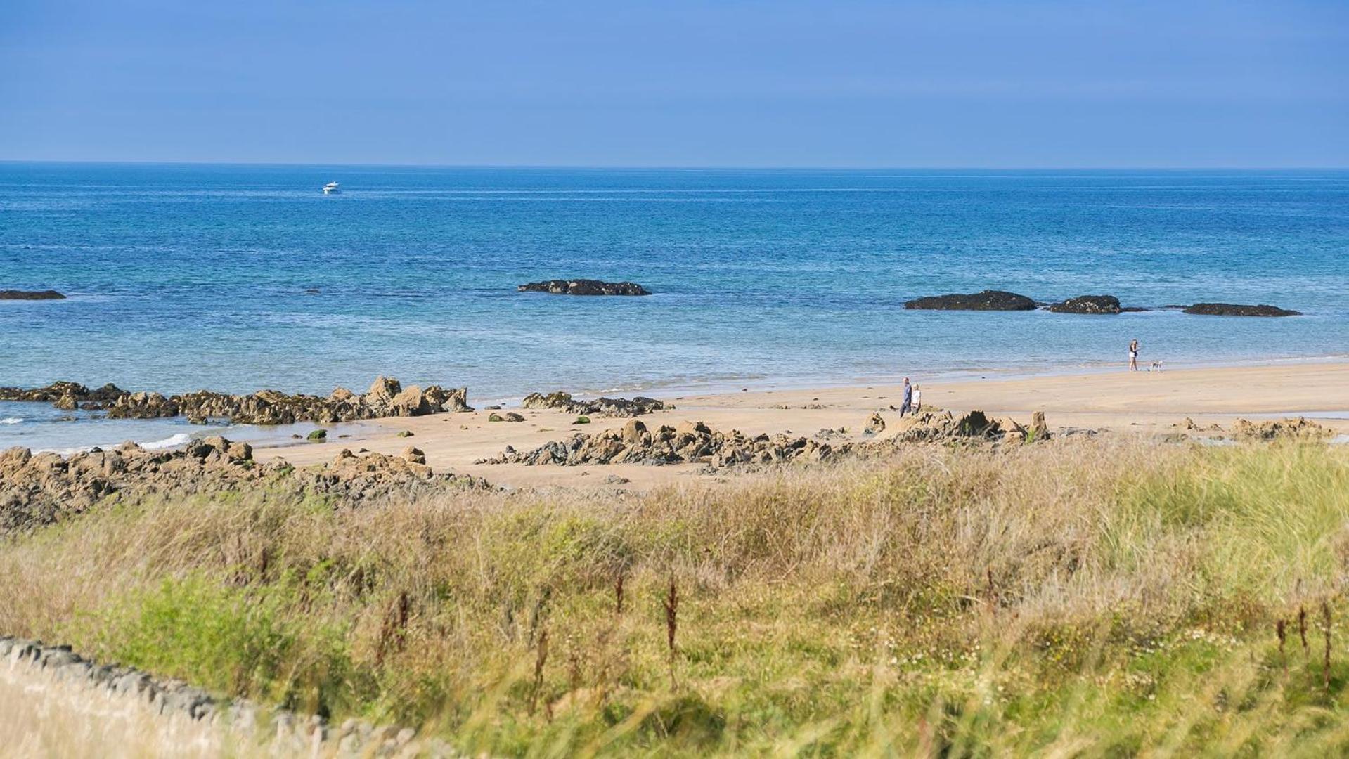Borth Bach