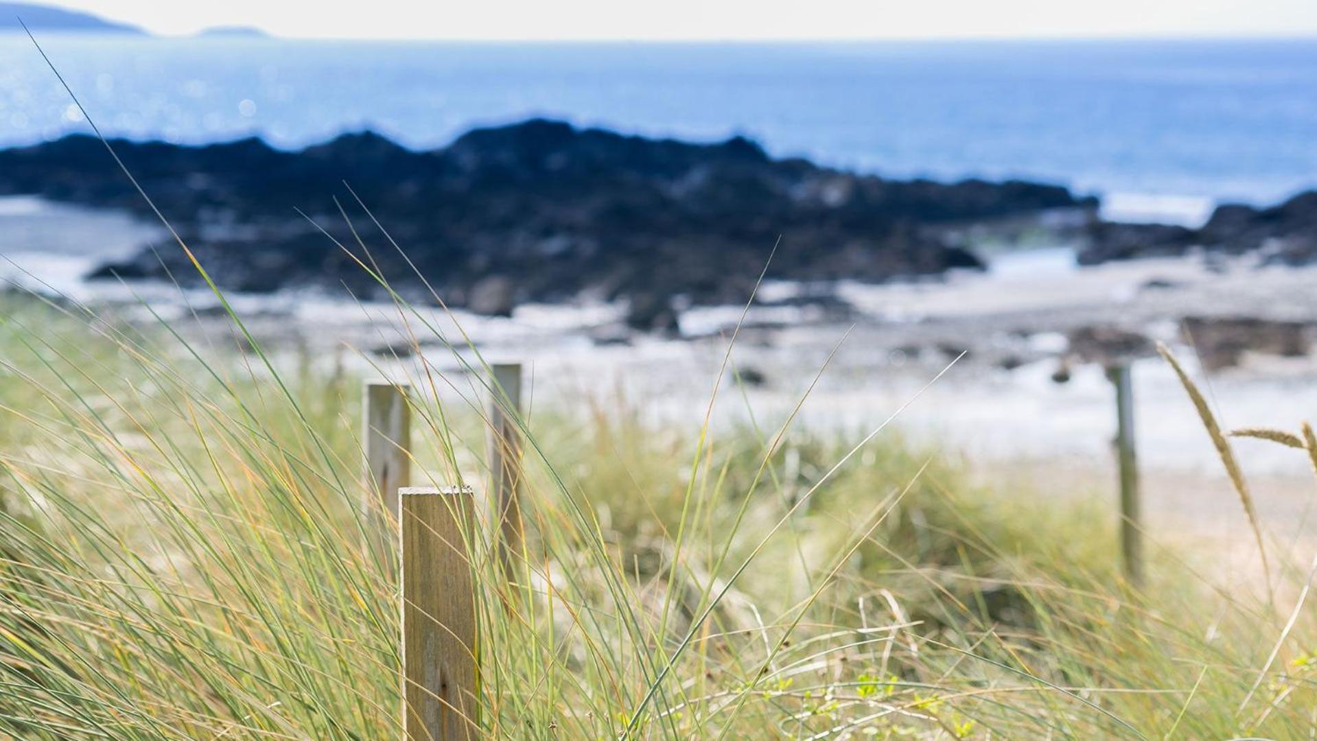 Borth Bach
