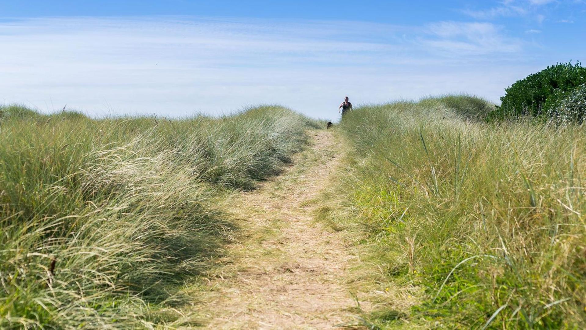 Borth Bach