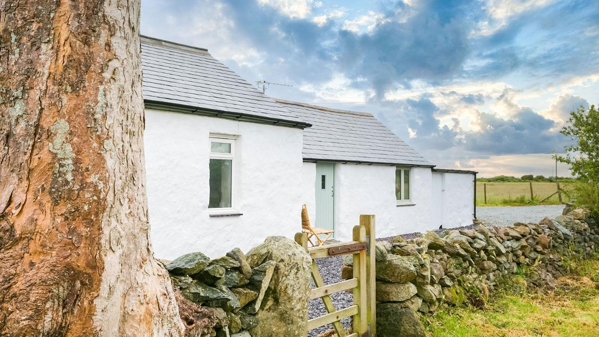 Bryn Eithin view 2