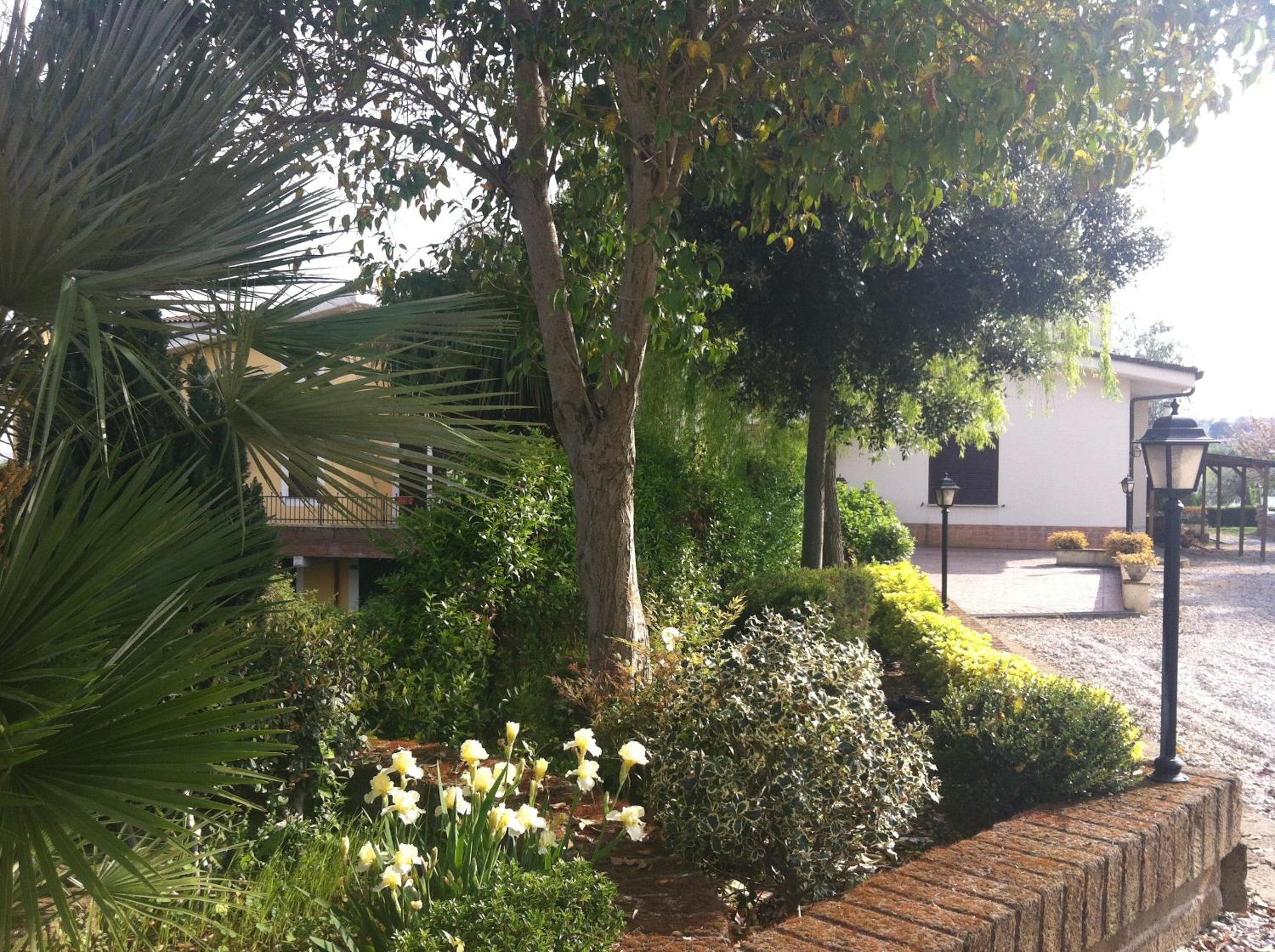 Photo 45