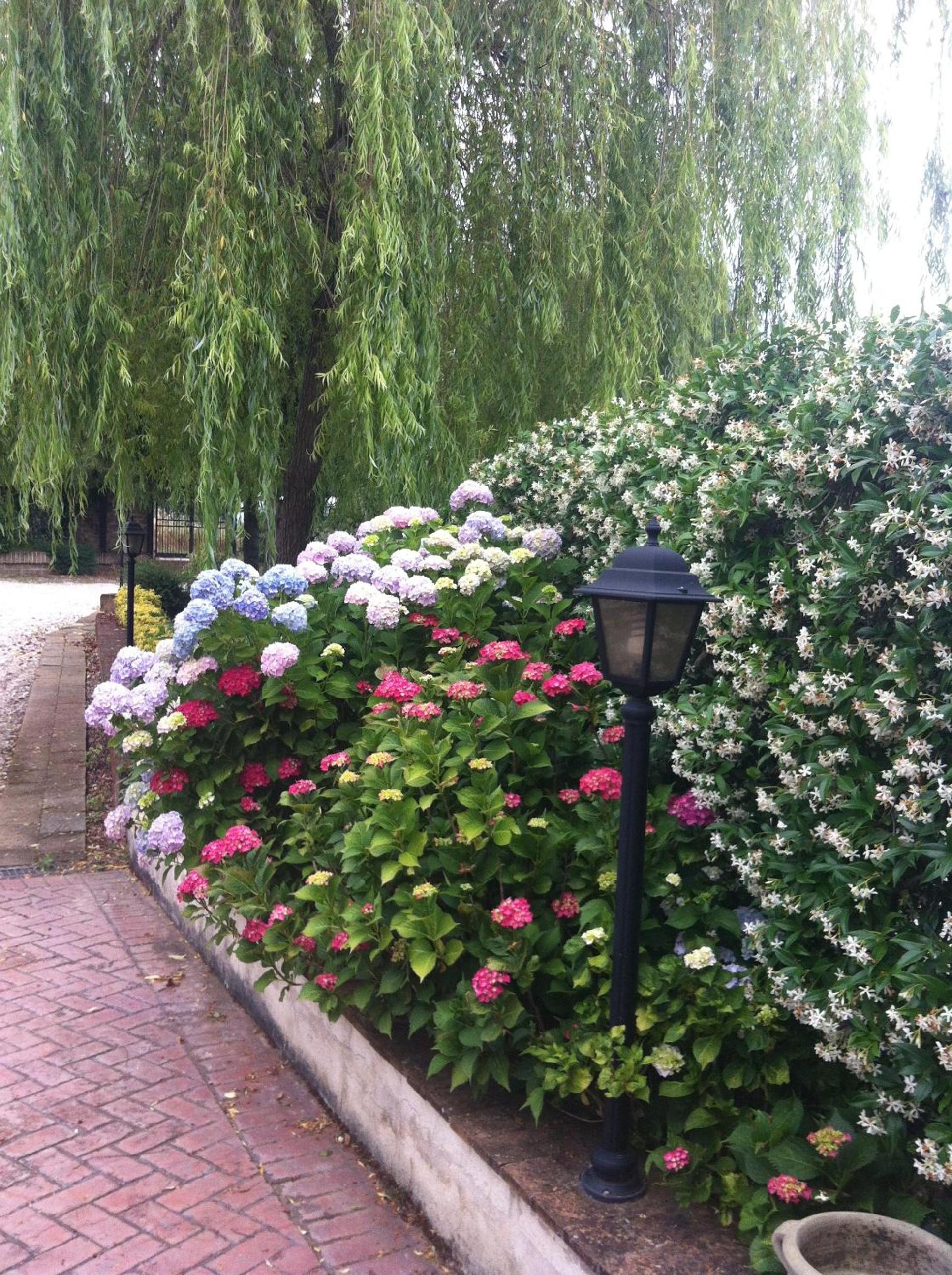 Photo 18