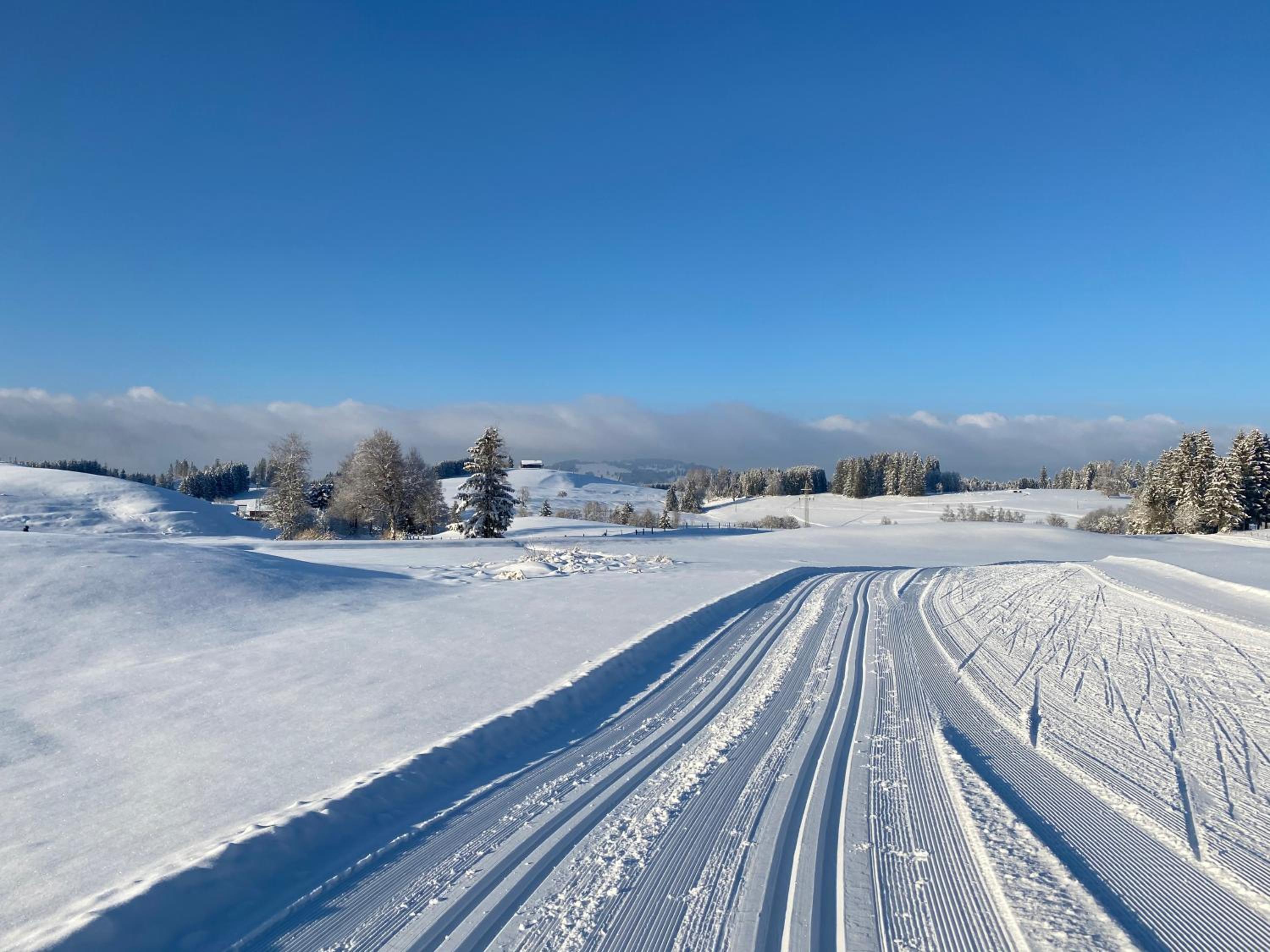 Villa Herzland Allgäu mit großem Garten und gemütlichem Kaminfeuer inklusive KÖNIGSCARD, Skipass, Bergbahn, Therme inkl