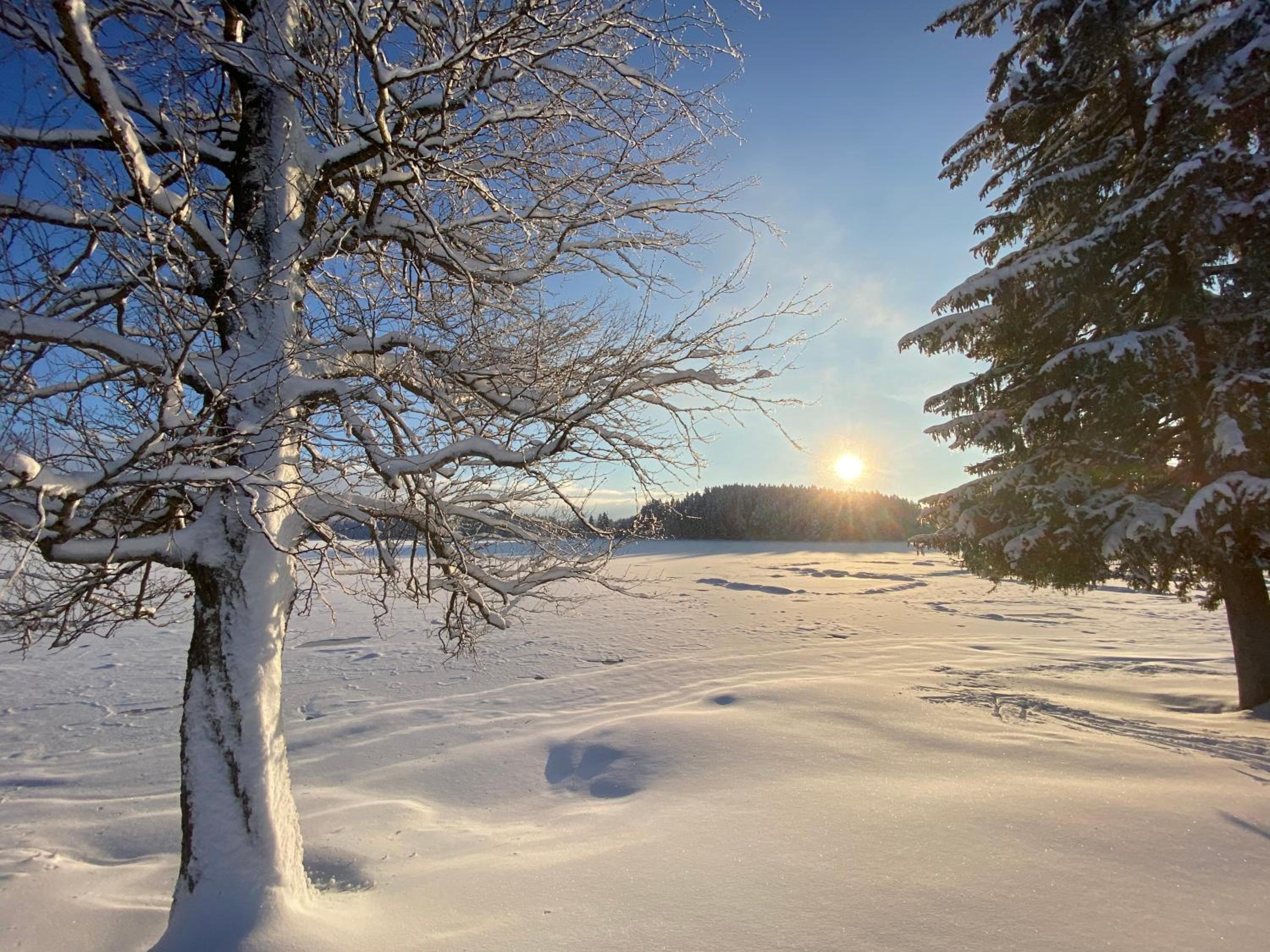 Villa Herzland Allgäu mit großem Garten und gemütlichem Kaminfeuer inklusive KÖNIGSCARD, Skipass, Bergbahn, Therme inkl