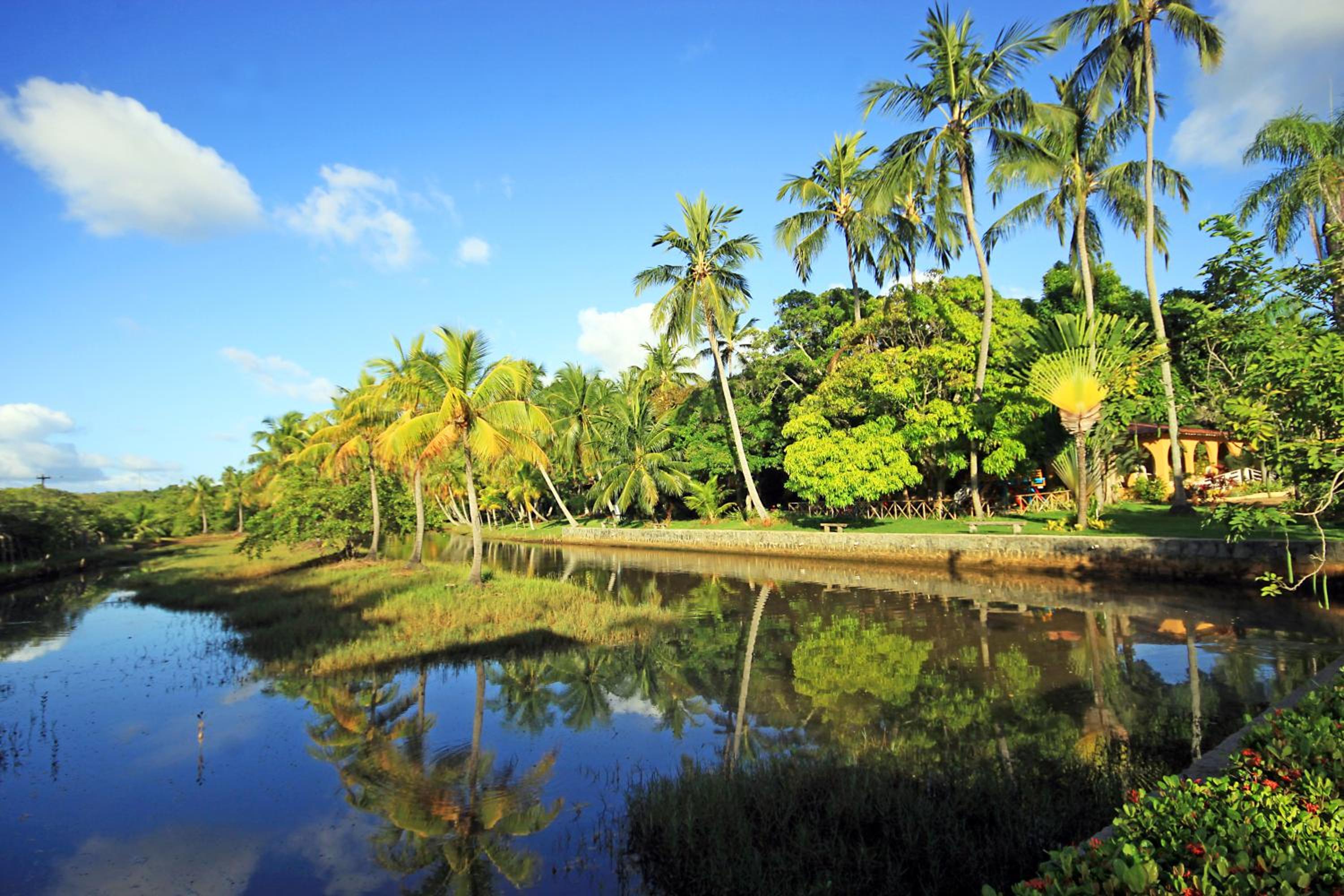 Eco Pousada Paraíso dos Coqueirais