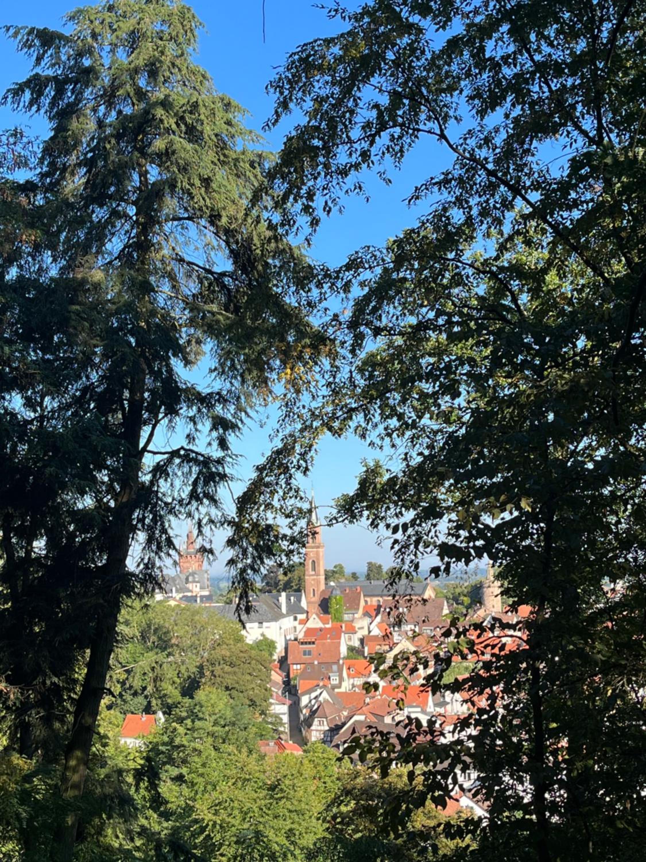 Ferienwohnung Burgenblilck view 5