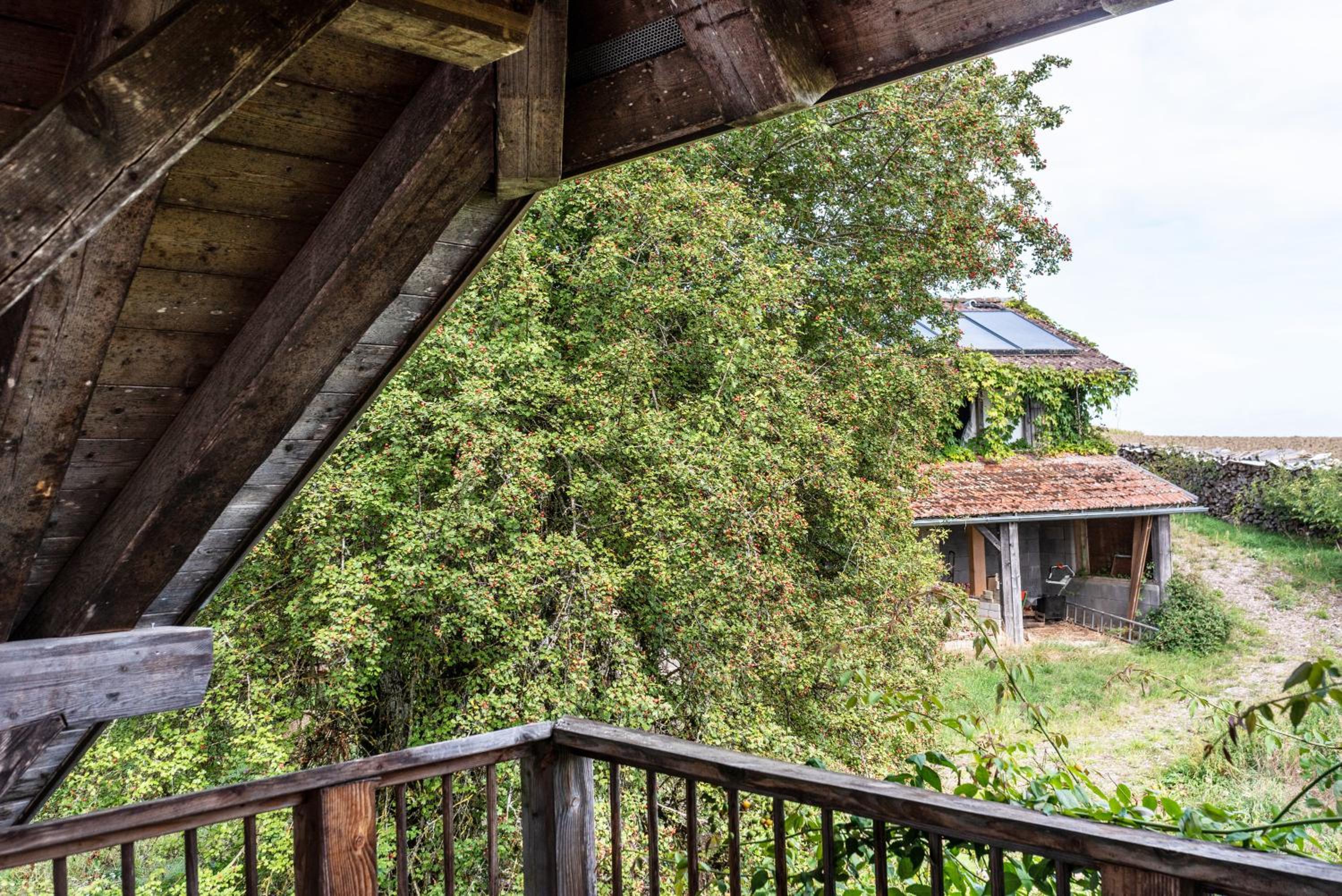Hof Wegwarte