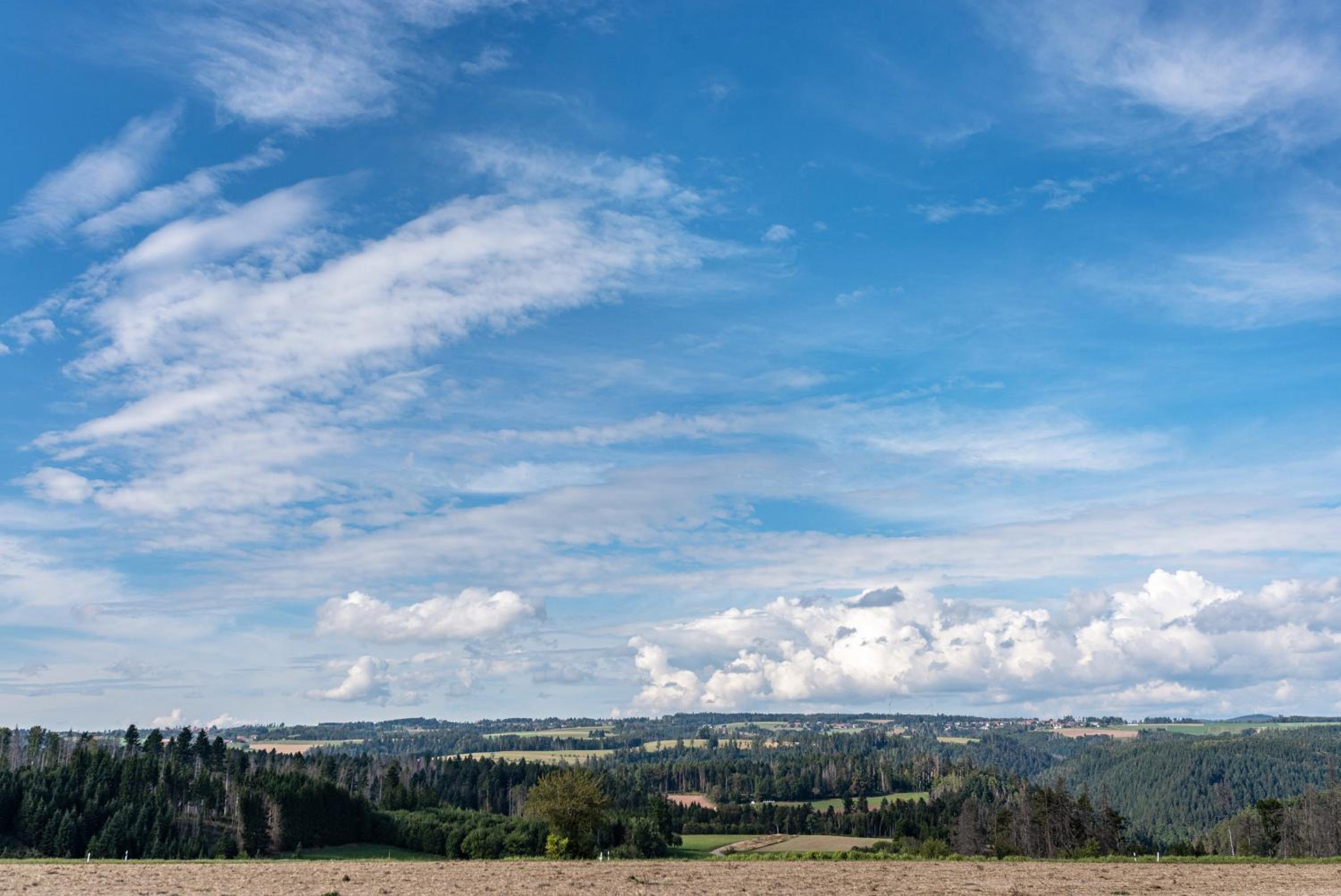 Hof Wegwarte