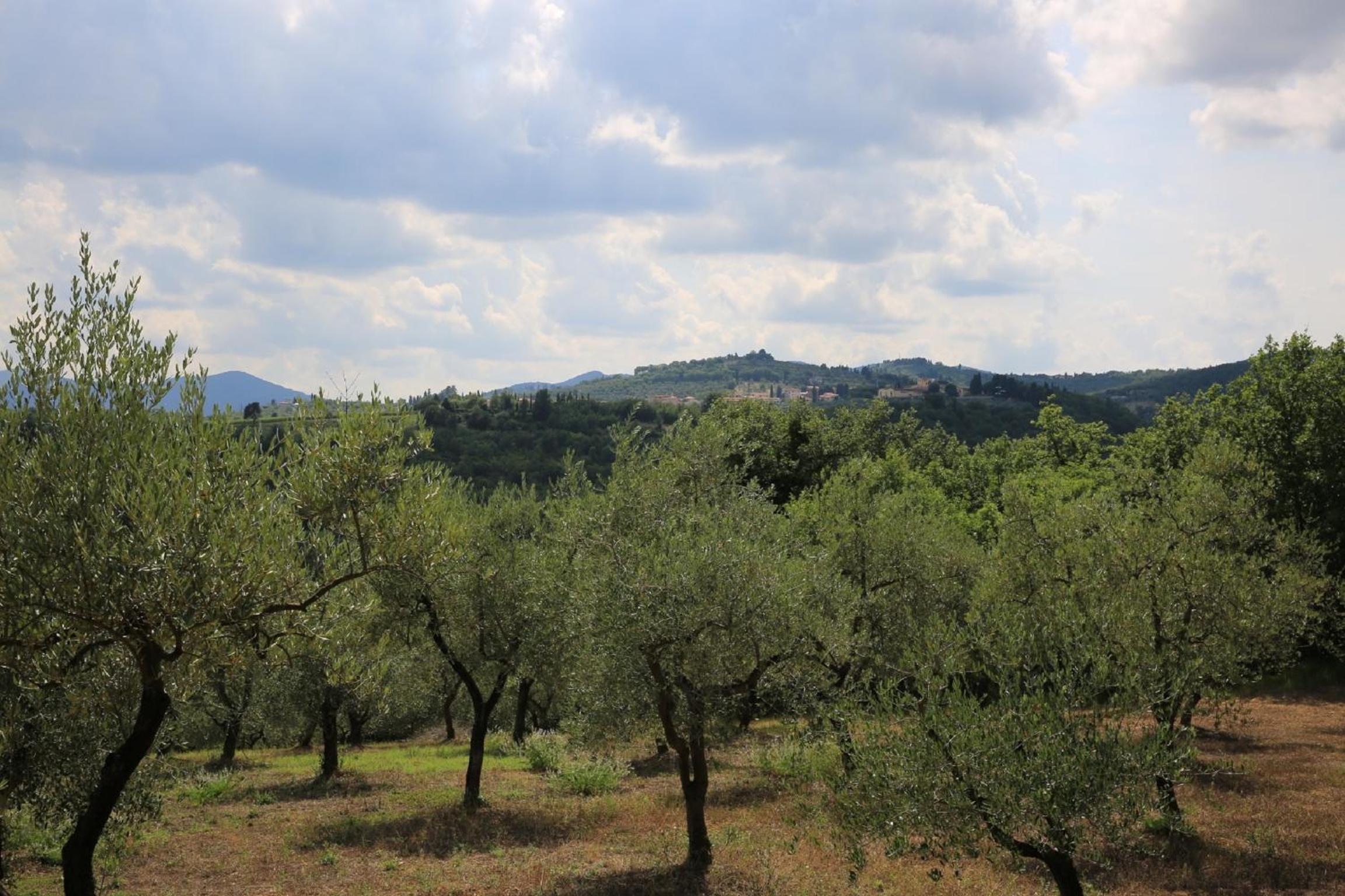 Villa Francesca