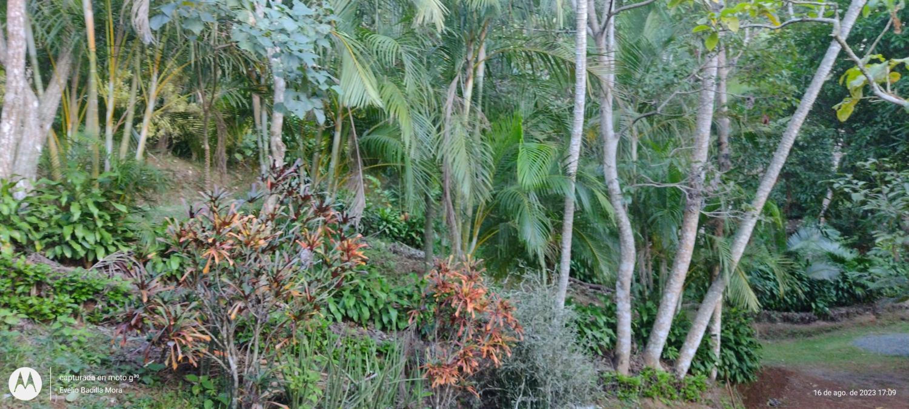 Villa Los Colibrí en Chirraca de la Selva