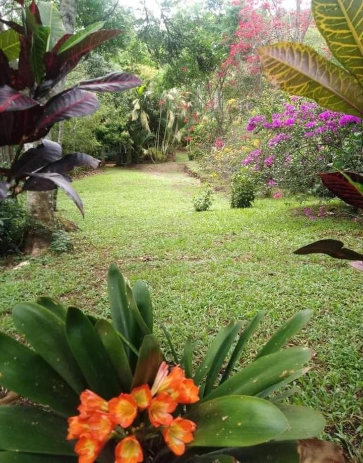 Villa Los Colibrí en Chirraca de la Selva