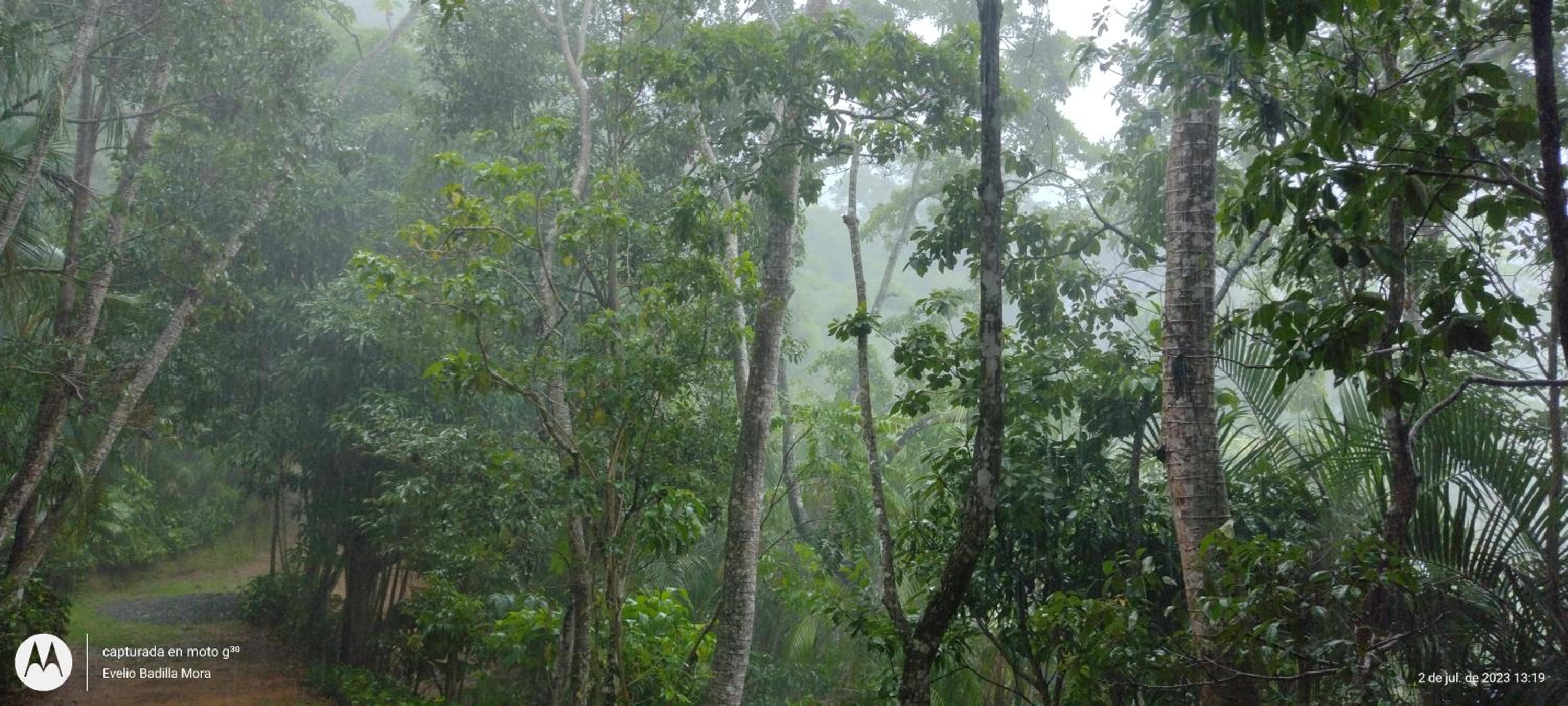 Villa Los Colibrí en Chirraca de la Selva