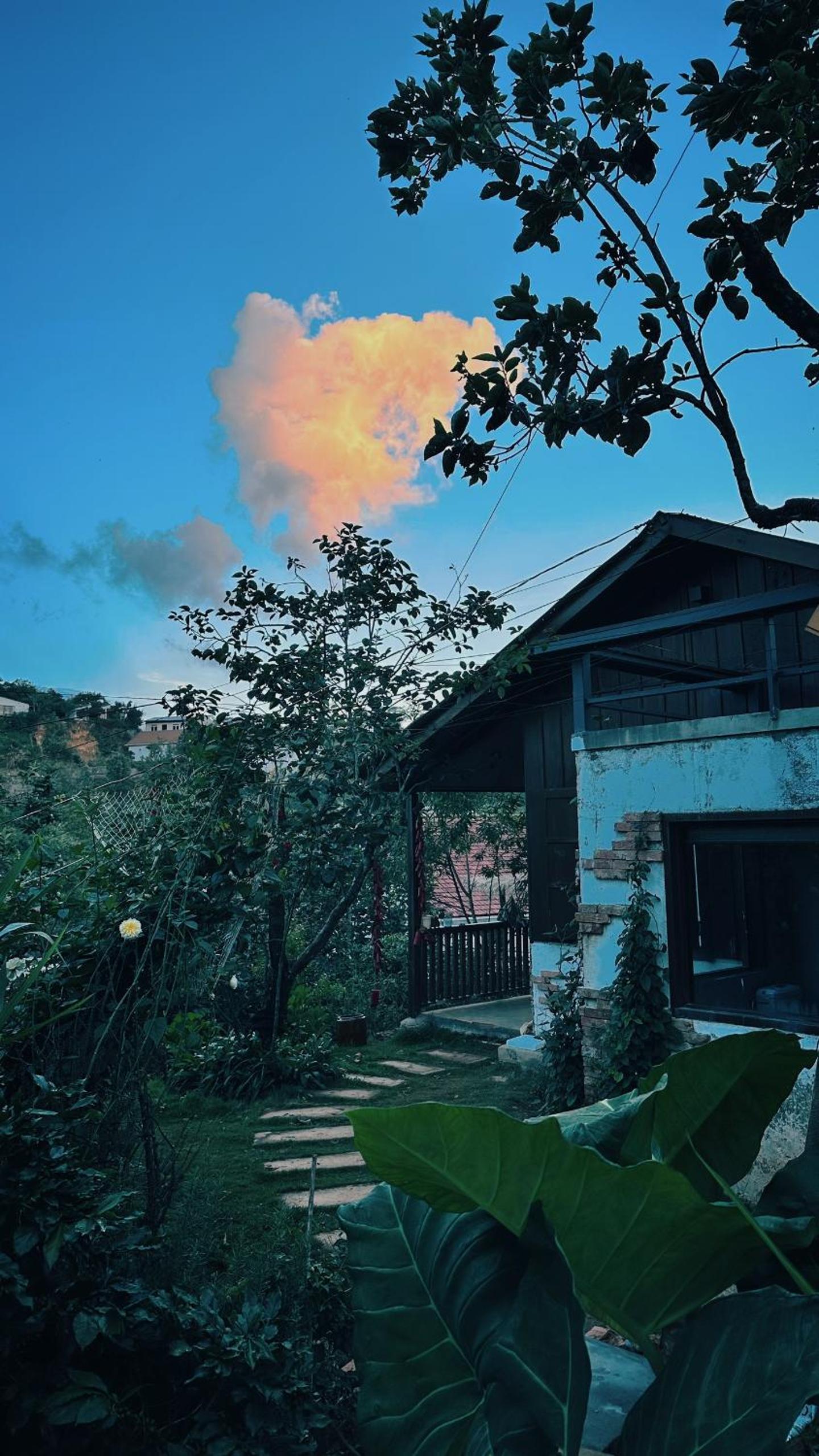Honeymoon