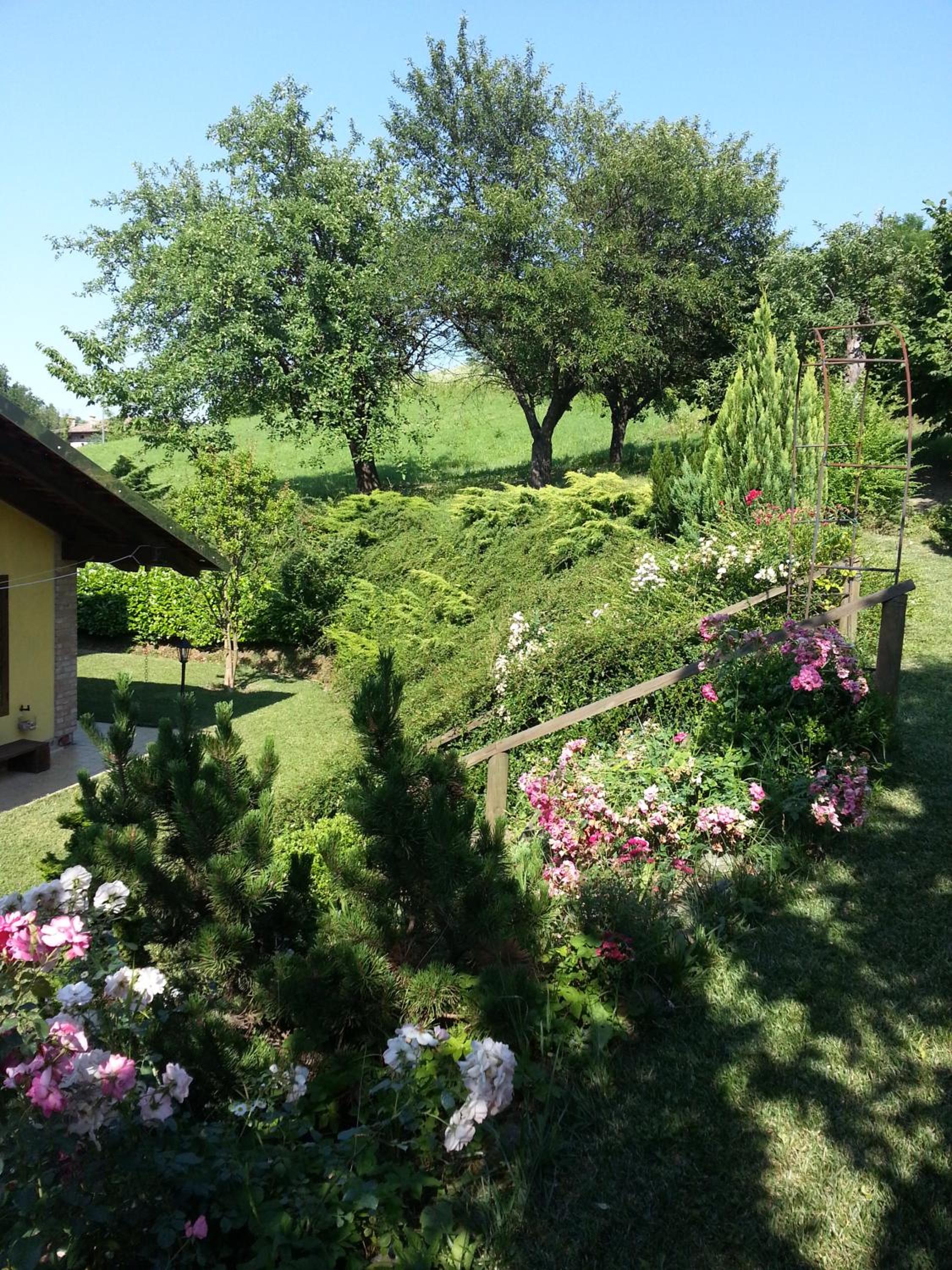 Photo 33