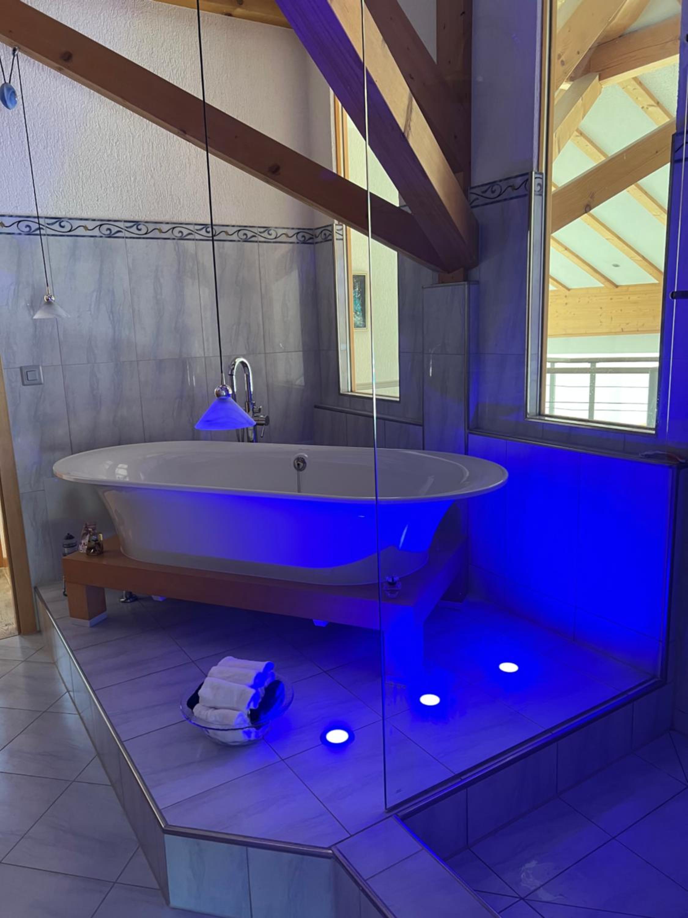 Luxus-Loft Atrium -X-