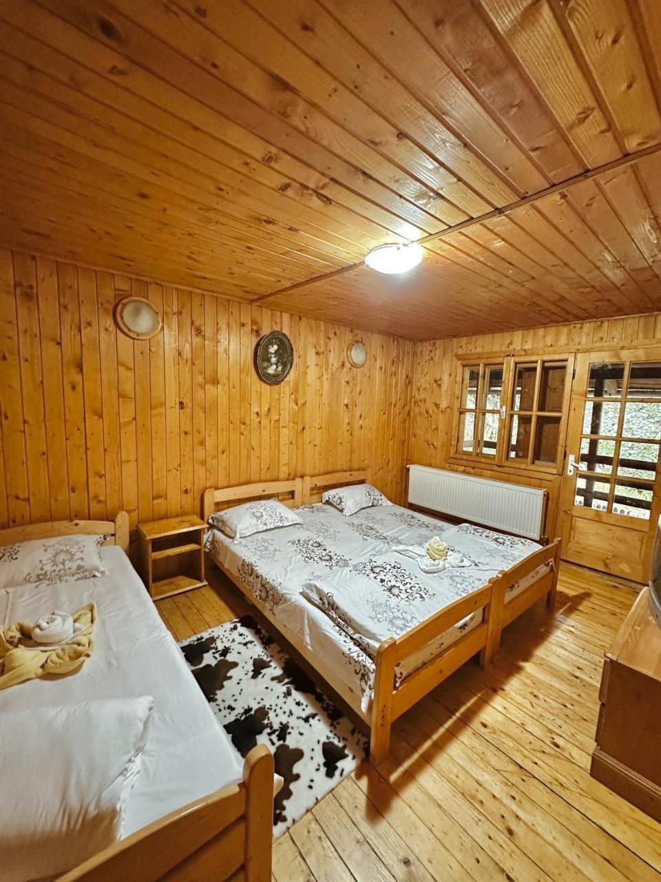 Rustic House view 2