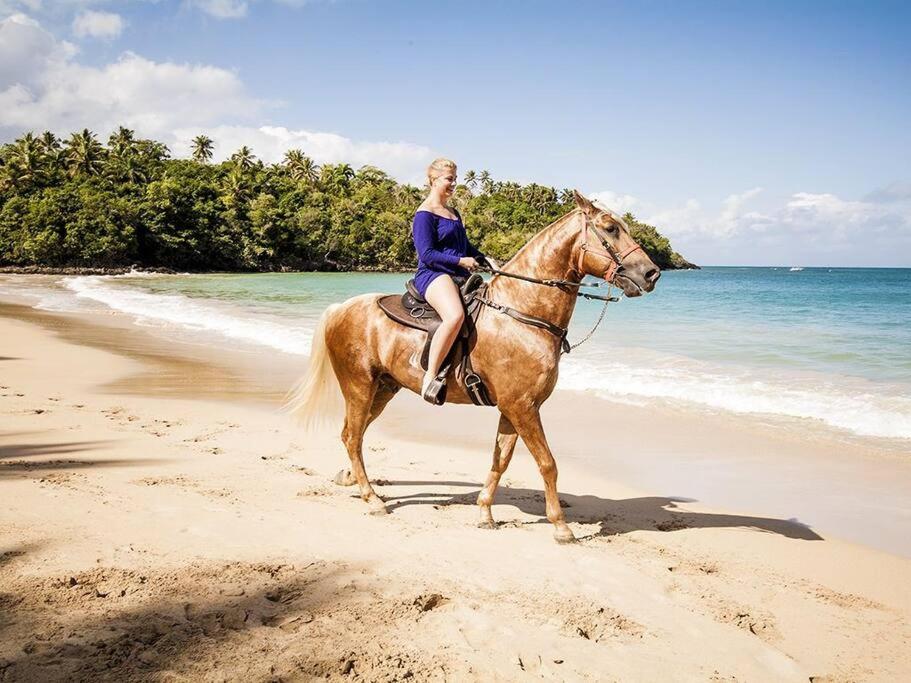 RIBERAMAR Las Terrenas, Samana