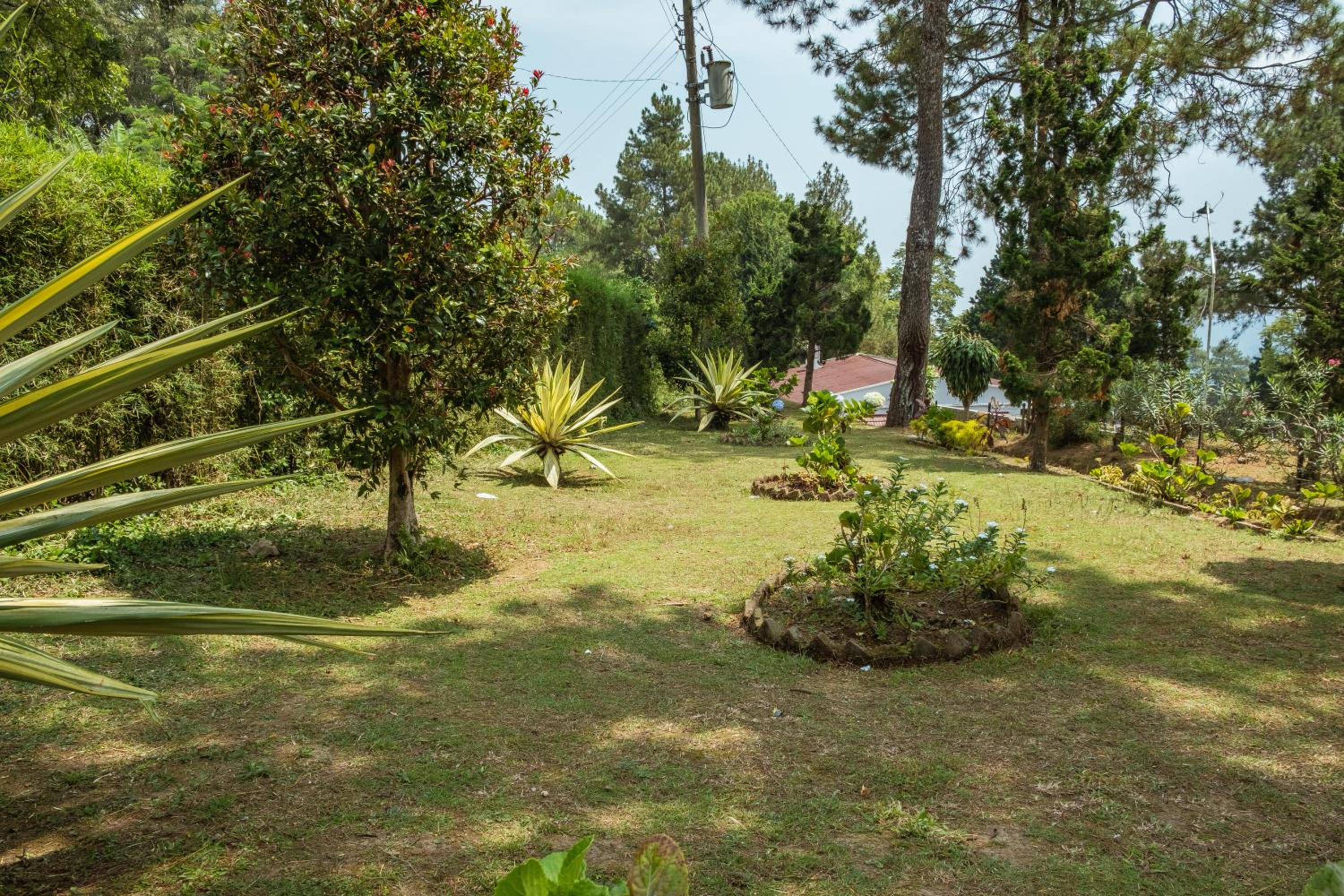 Villa solomio