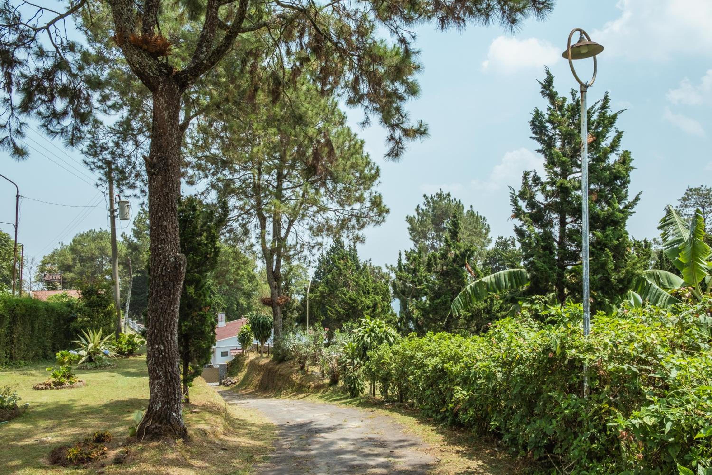 Villa solomio
