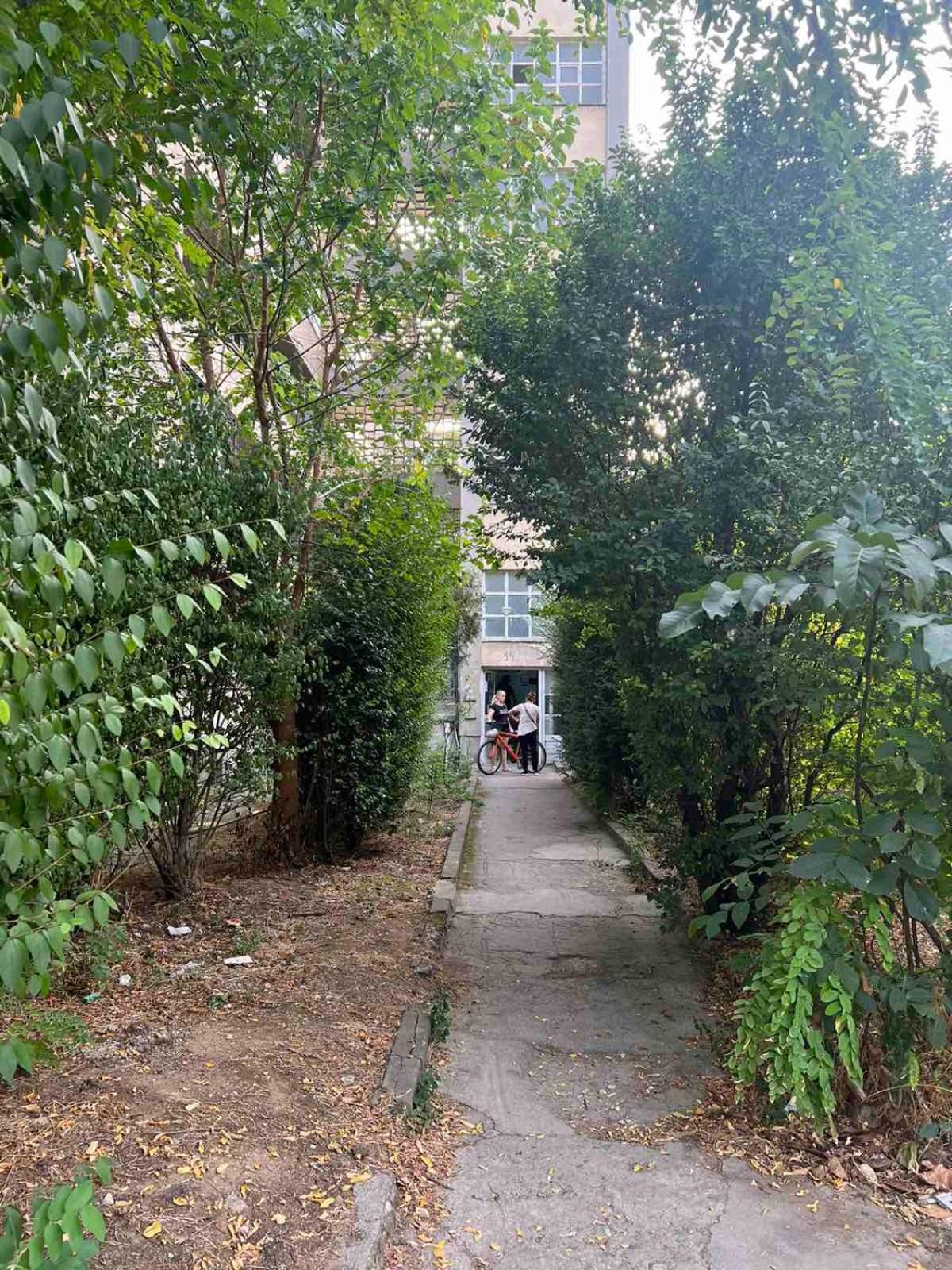 Photo 37