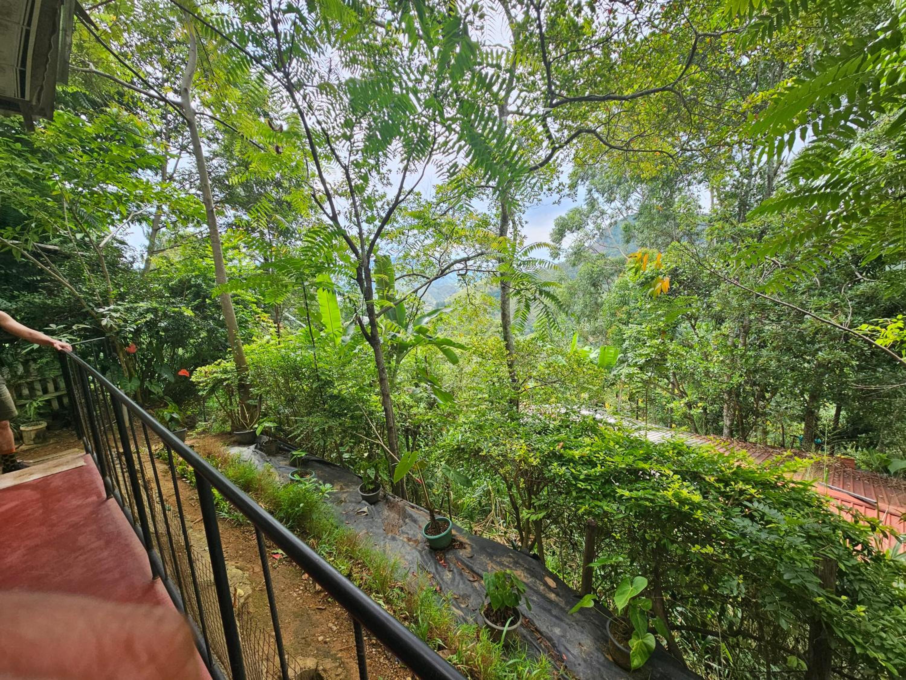 Opal Cottage Ella view 4