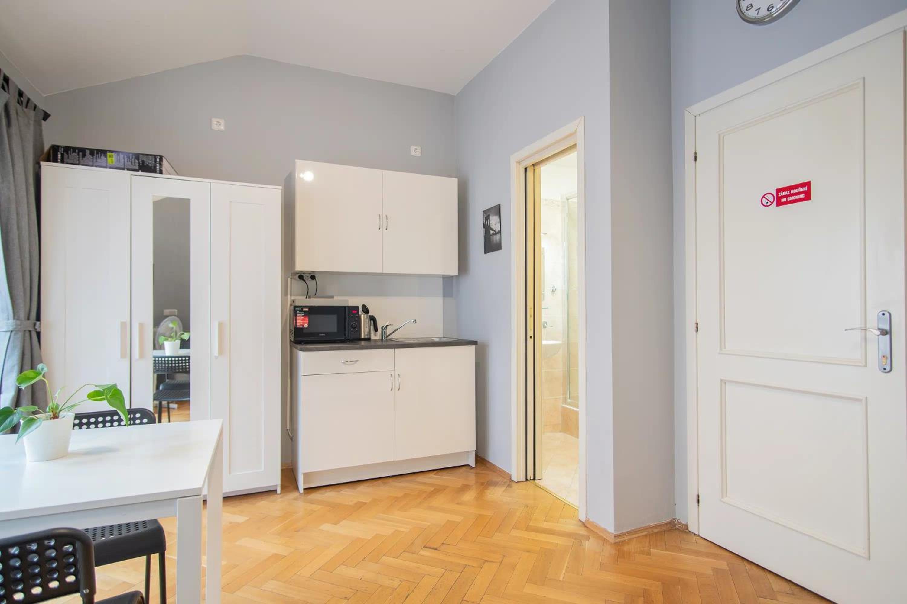 Private Retreat Close to Stations in Praha 3