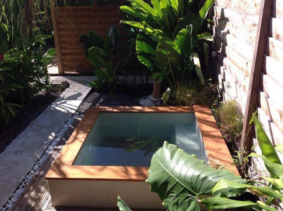 LE TIKI gîte côté canne view 4