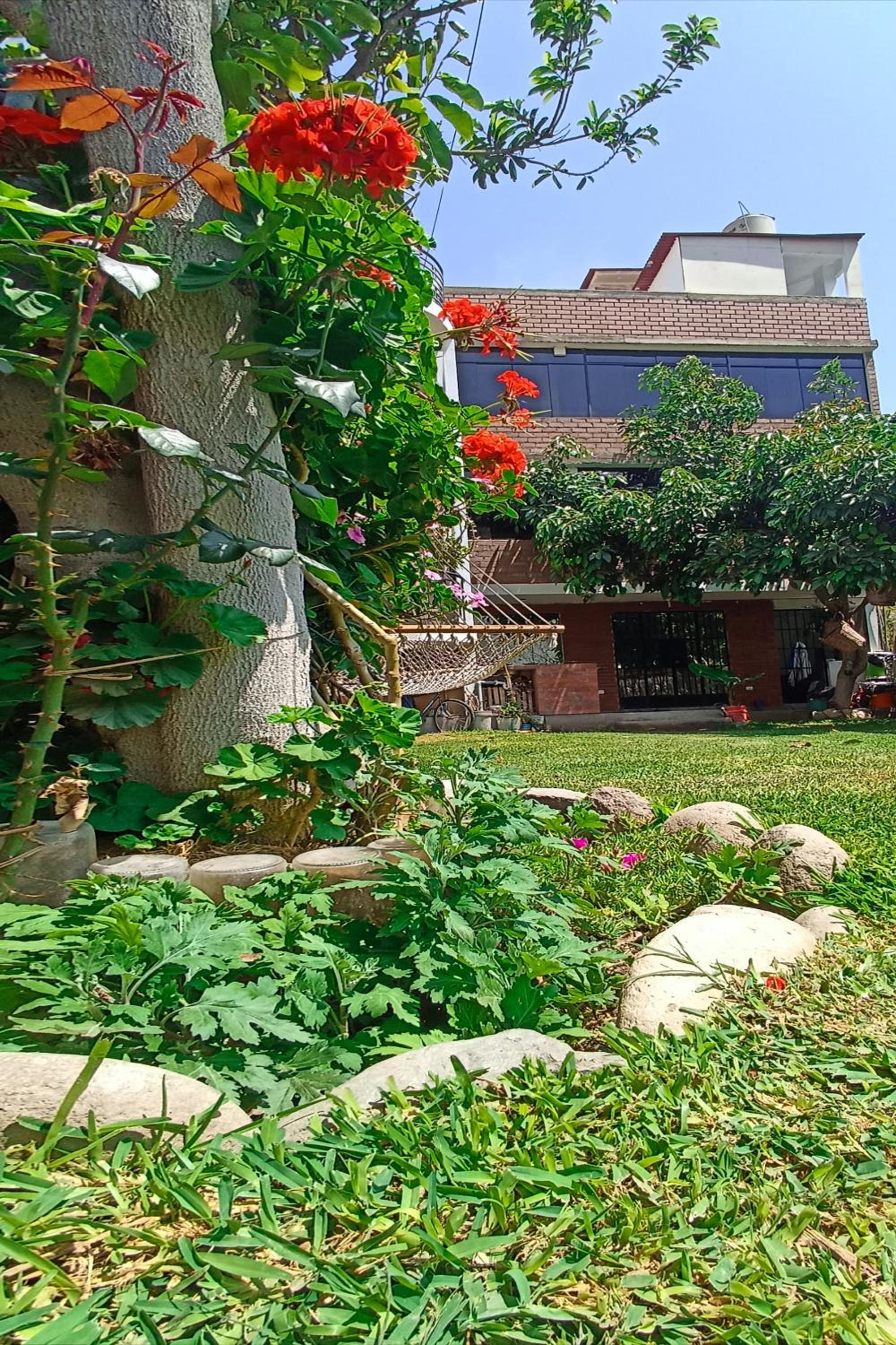 Photo 20