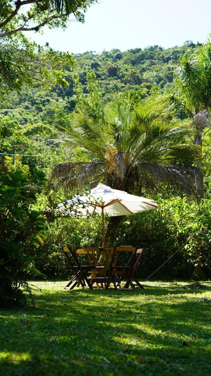 Casa da Floresta