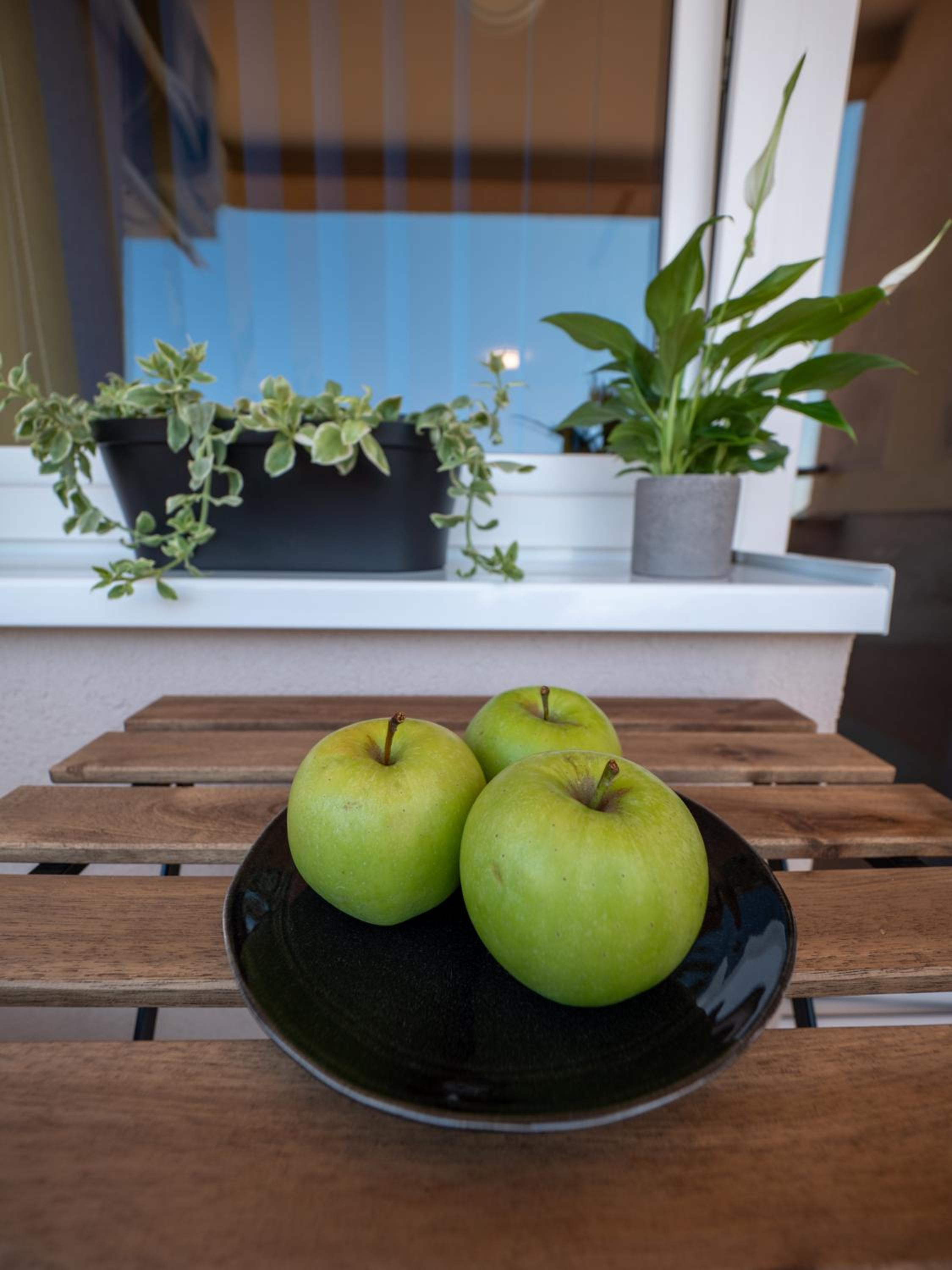 Green Apple Apartment