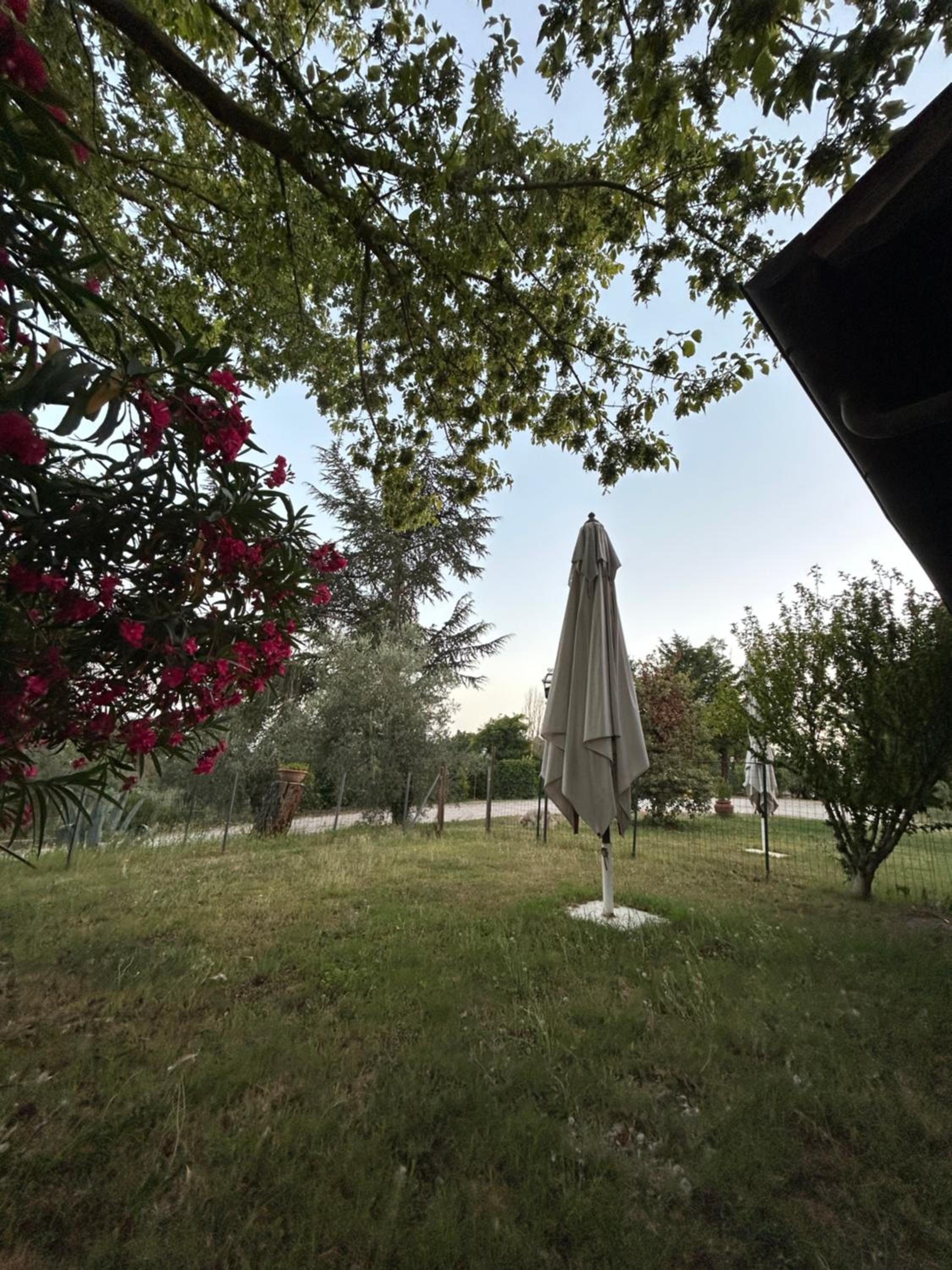 Tenuta Merlano