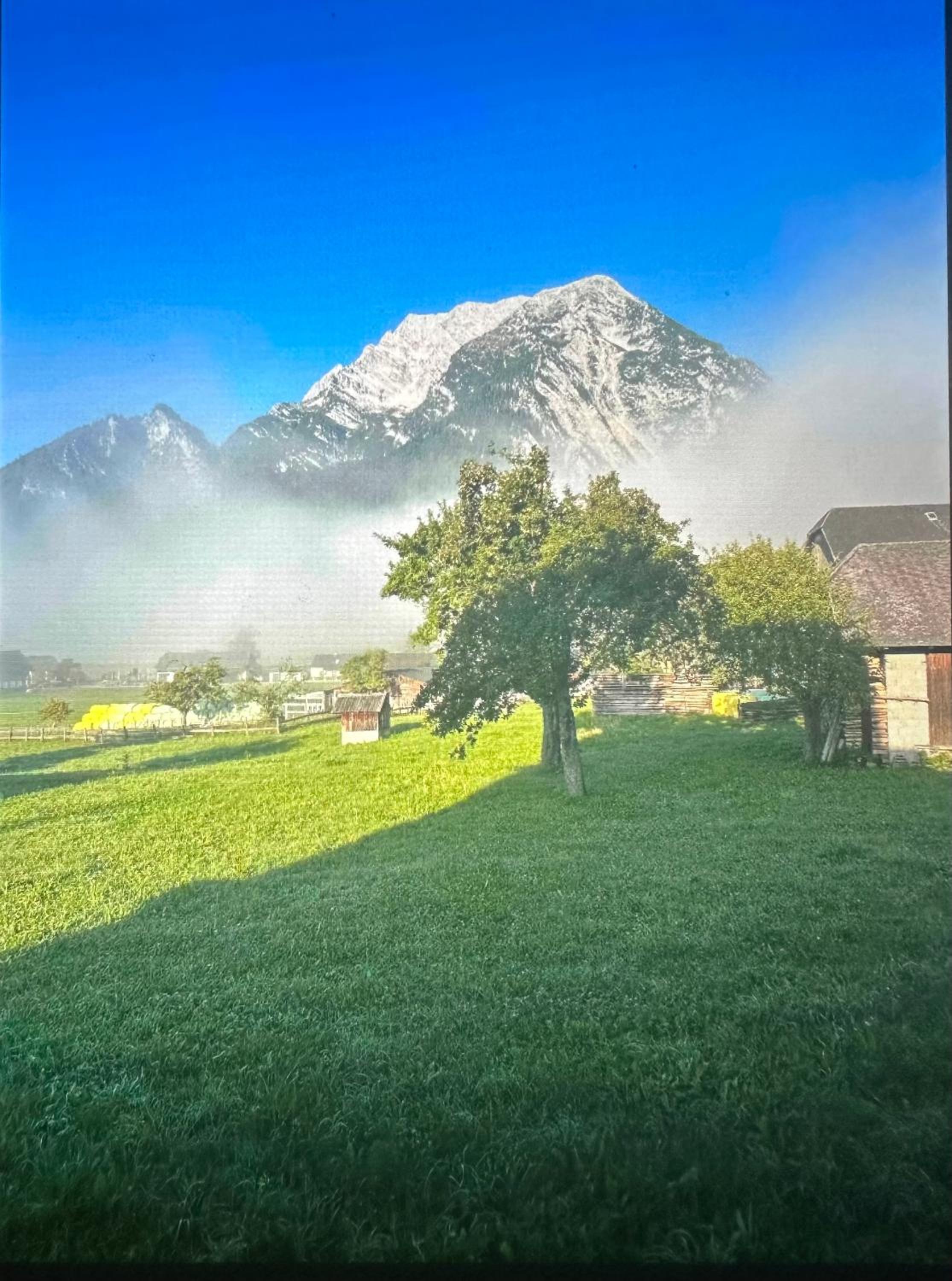 Gemütliche kleine Wohnung mit Garten